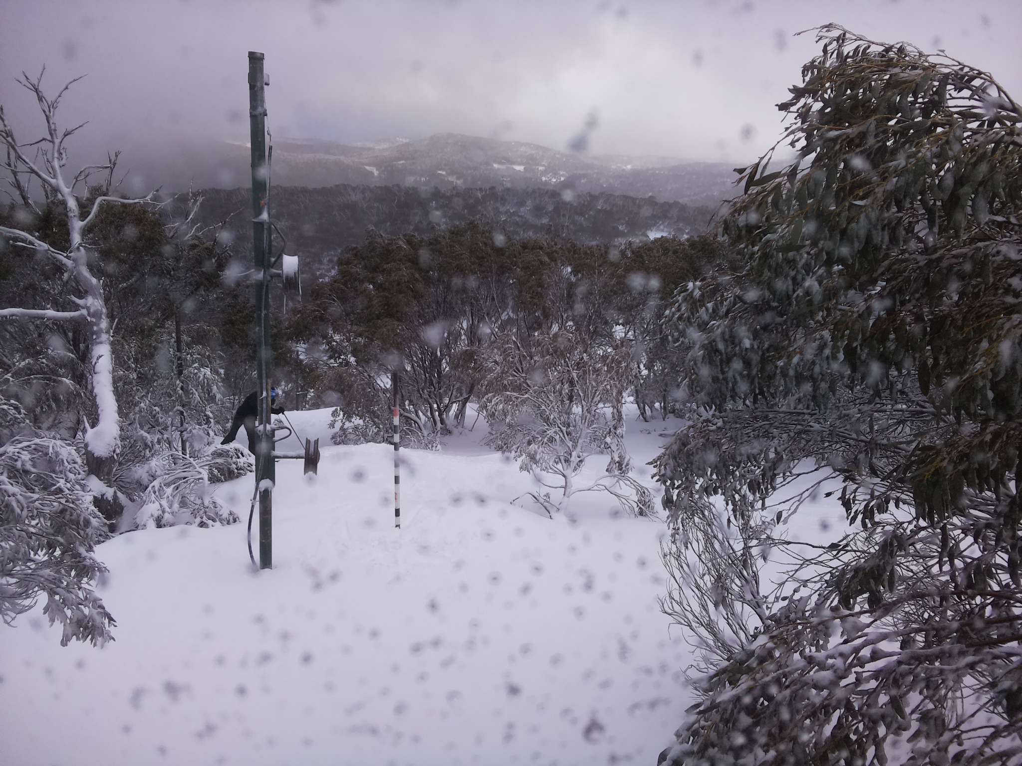 Bogong Web Cam 4:00pm Wednesday 9th of July 2025