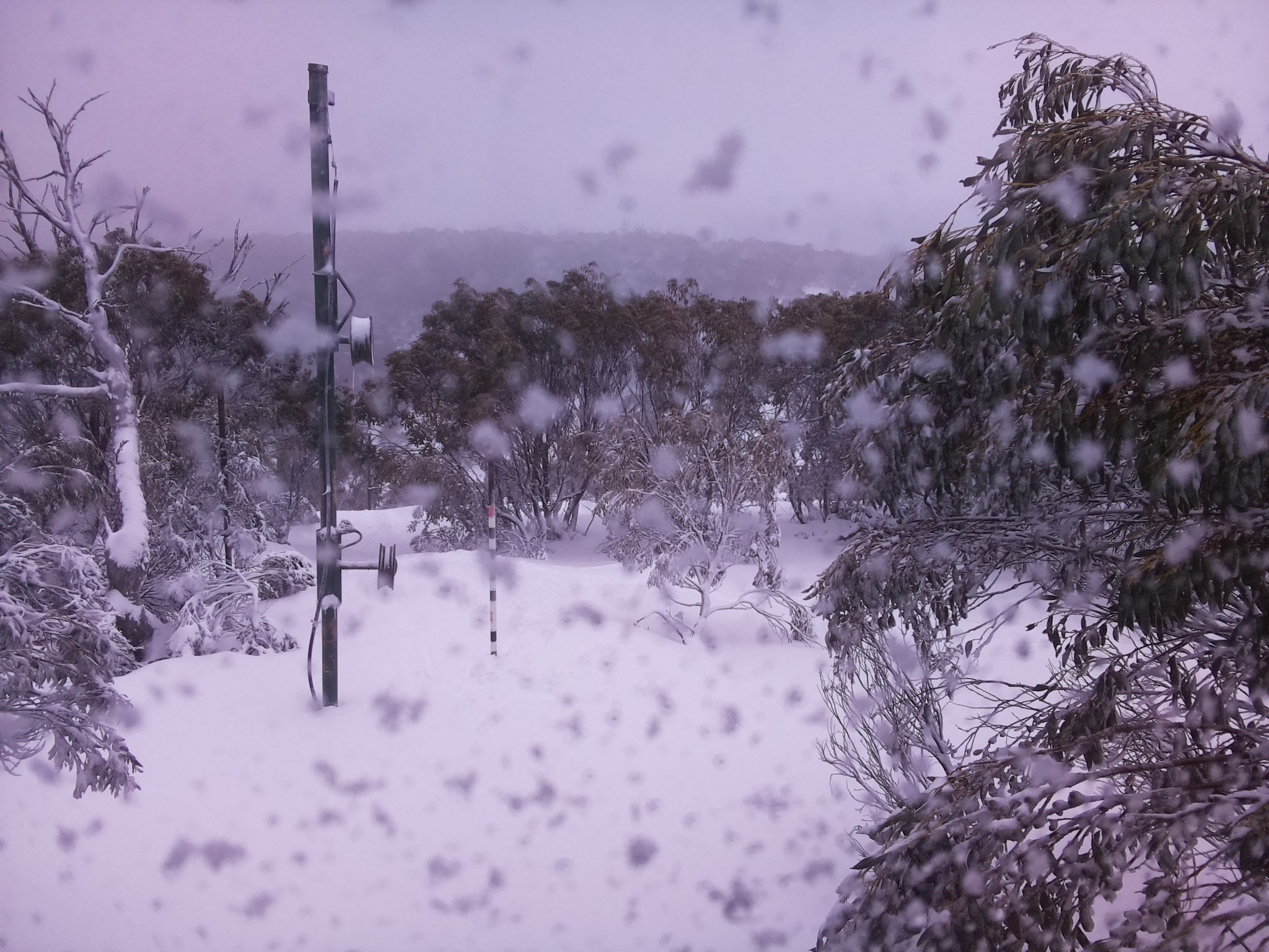 Bogong Web Cam 4:40pm Wednesday 9th of July 2025