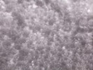 Thumbnail 10:20am Thursday 10th of July 2025
