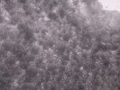 Thumbnail 10:40am Thursday 10th of July 2025