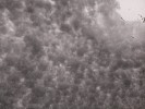 Thumbnail 10:50am Thursday 10th of July 2025