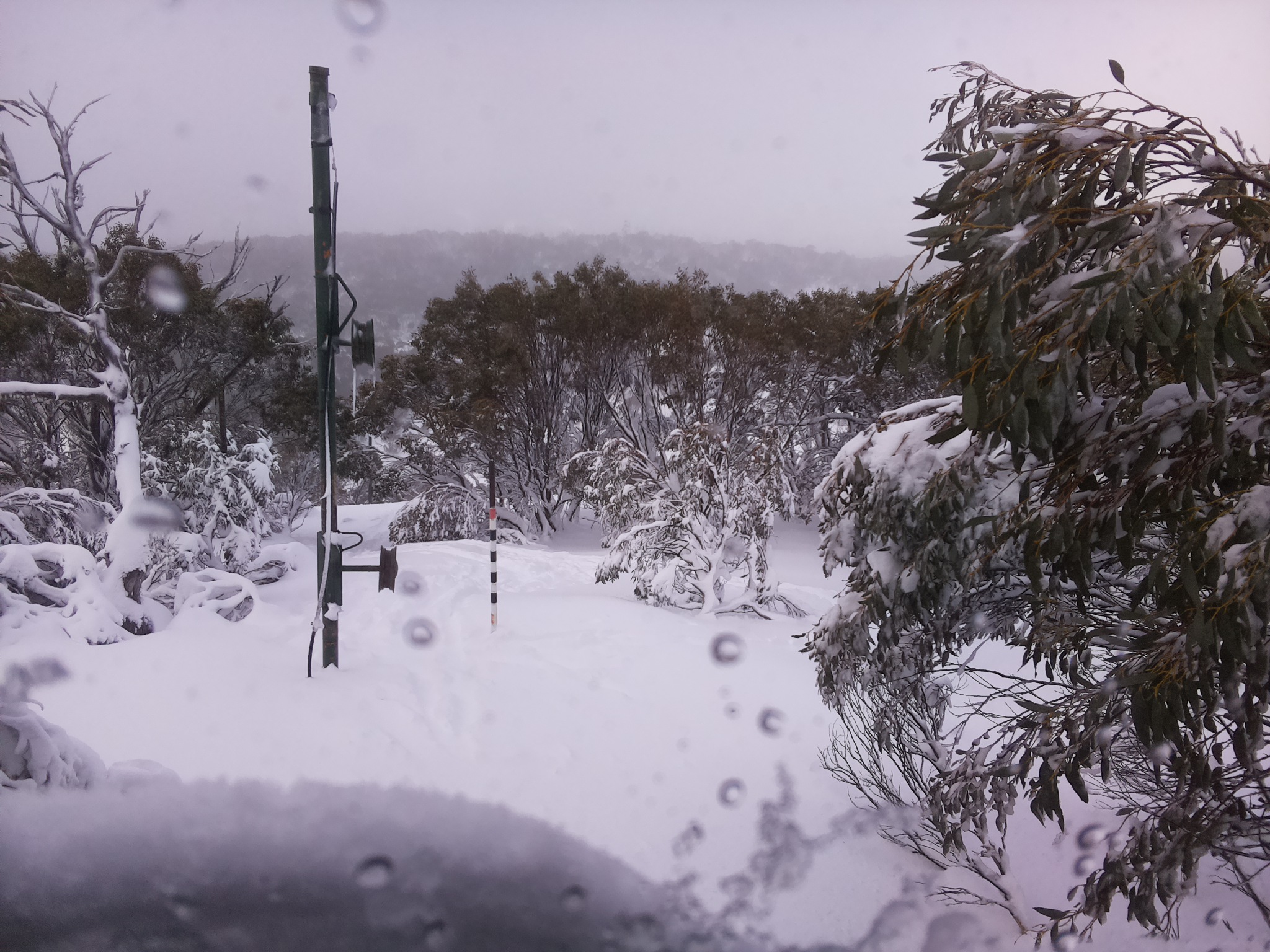 Bogong Web Cam 10:10am Friday 11th of July 2025