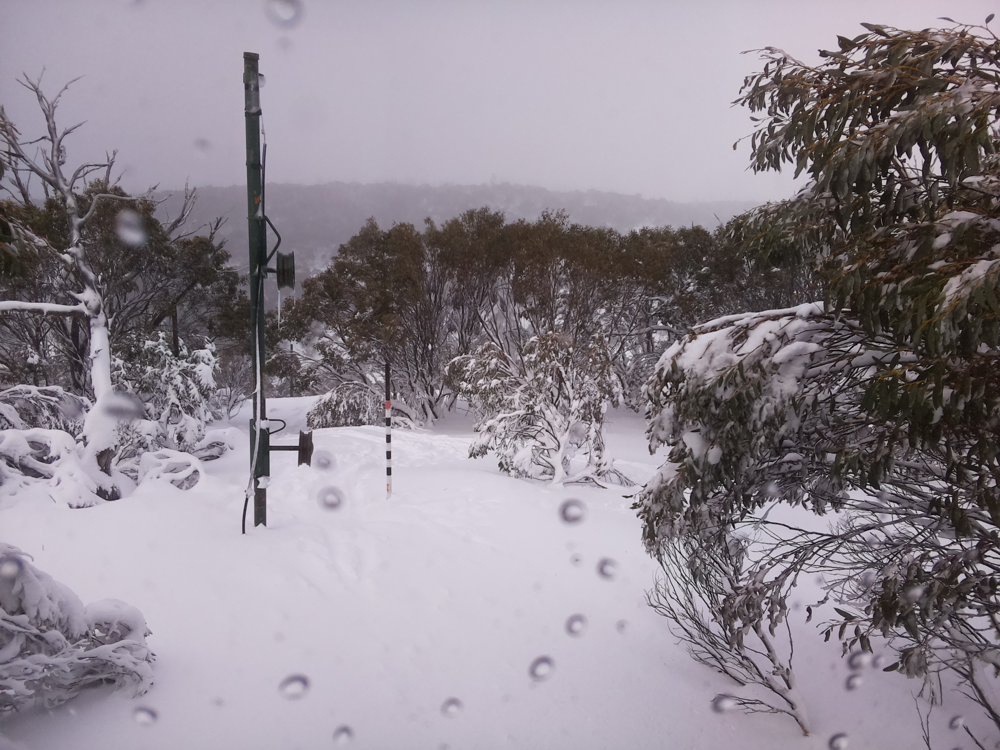 Bogong Web Cam 10:30am Friday 11th of July 2025