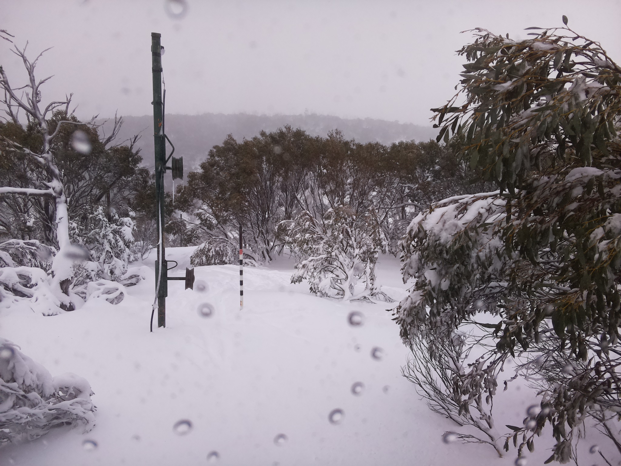 Bogong Web Cam 10:50am Friday 11th of July 2025