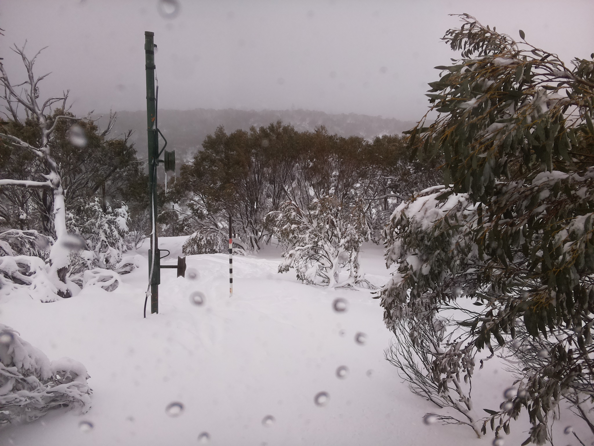 Bogong Web Cam 11:00am Friday 11th of July 2025