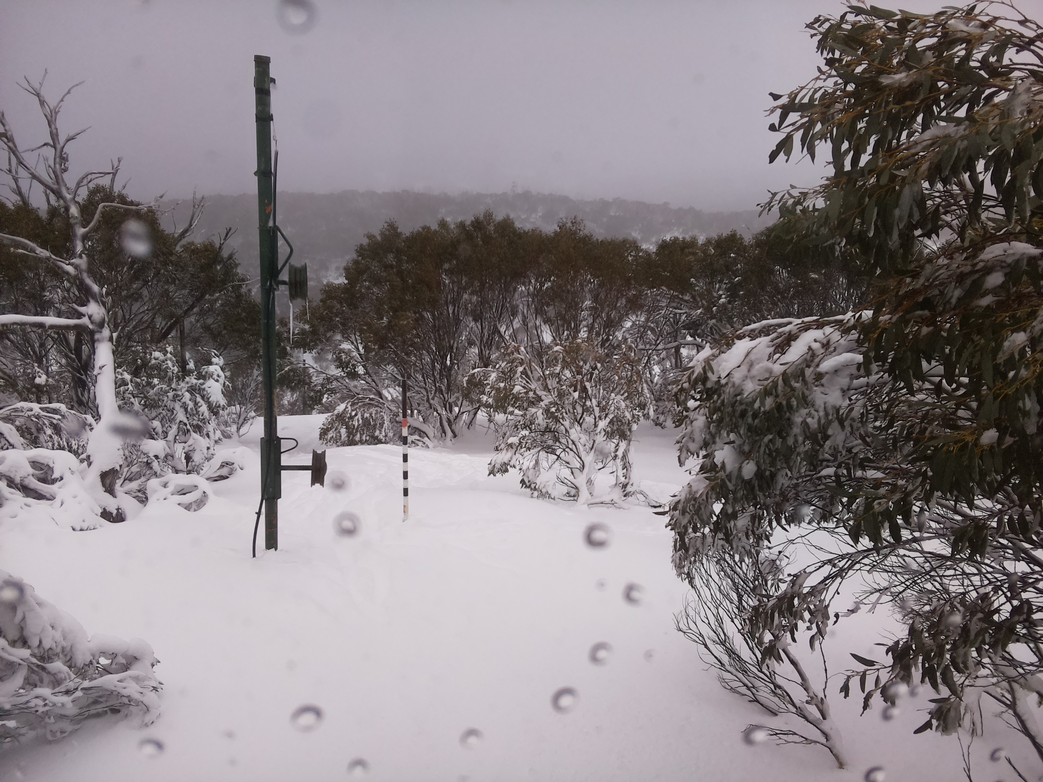 Bogong Web Cam 11:20am Friday 11th of July 2025