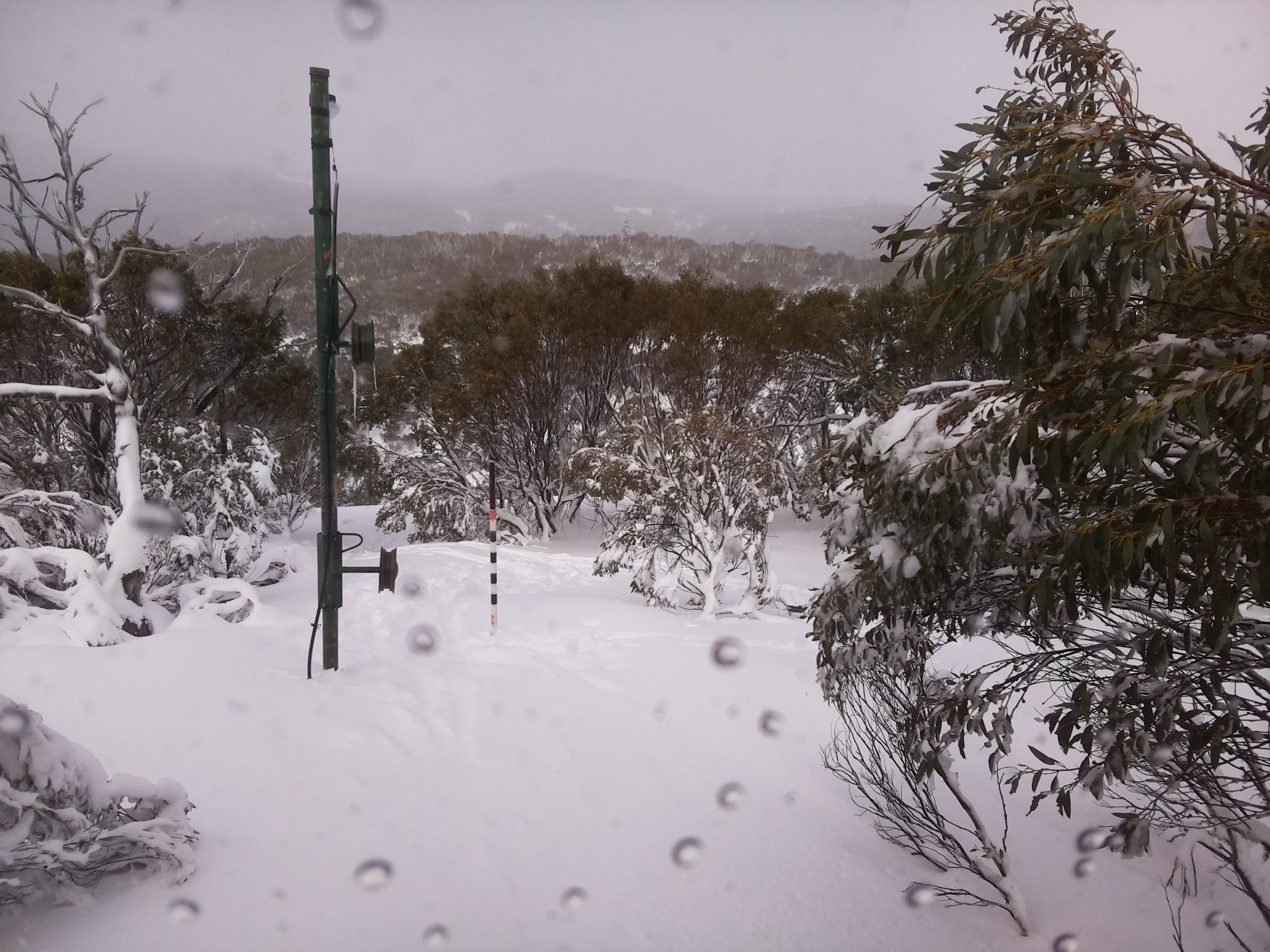Bogong Web Cam 11:30am Friday 11th of July 2025