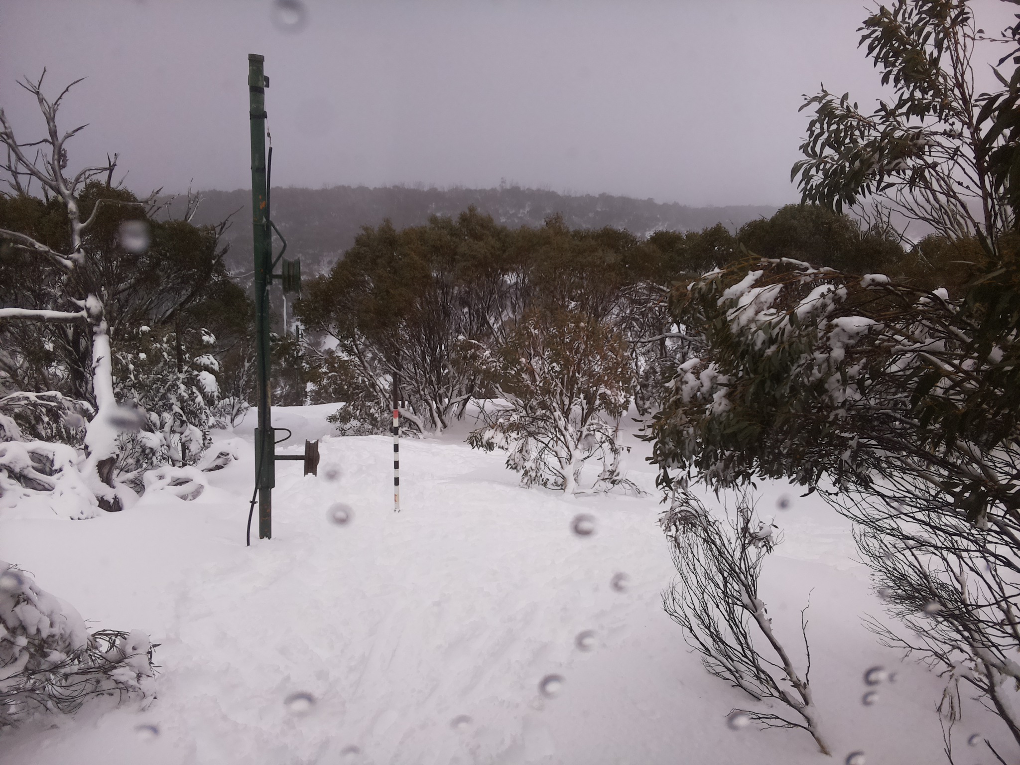 Bogong Web Cam 12:10pm Friday 11th of July 2025