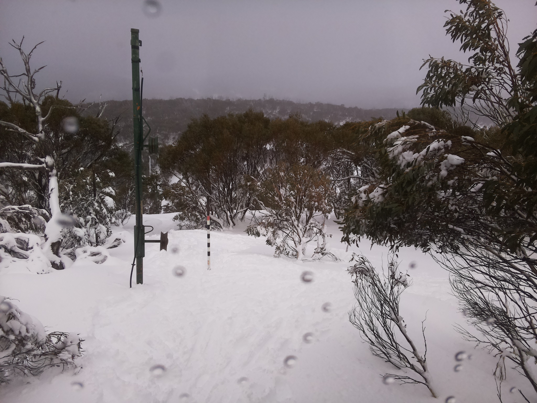 Bogong Web Cam 12:20pm Friday 11th of July 2025