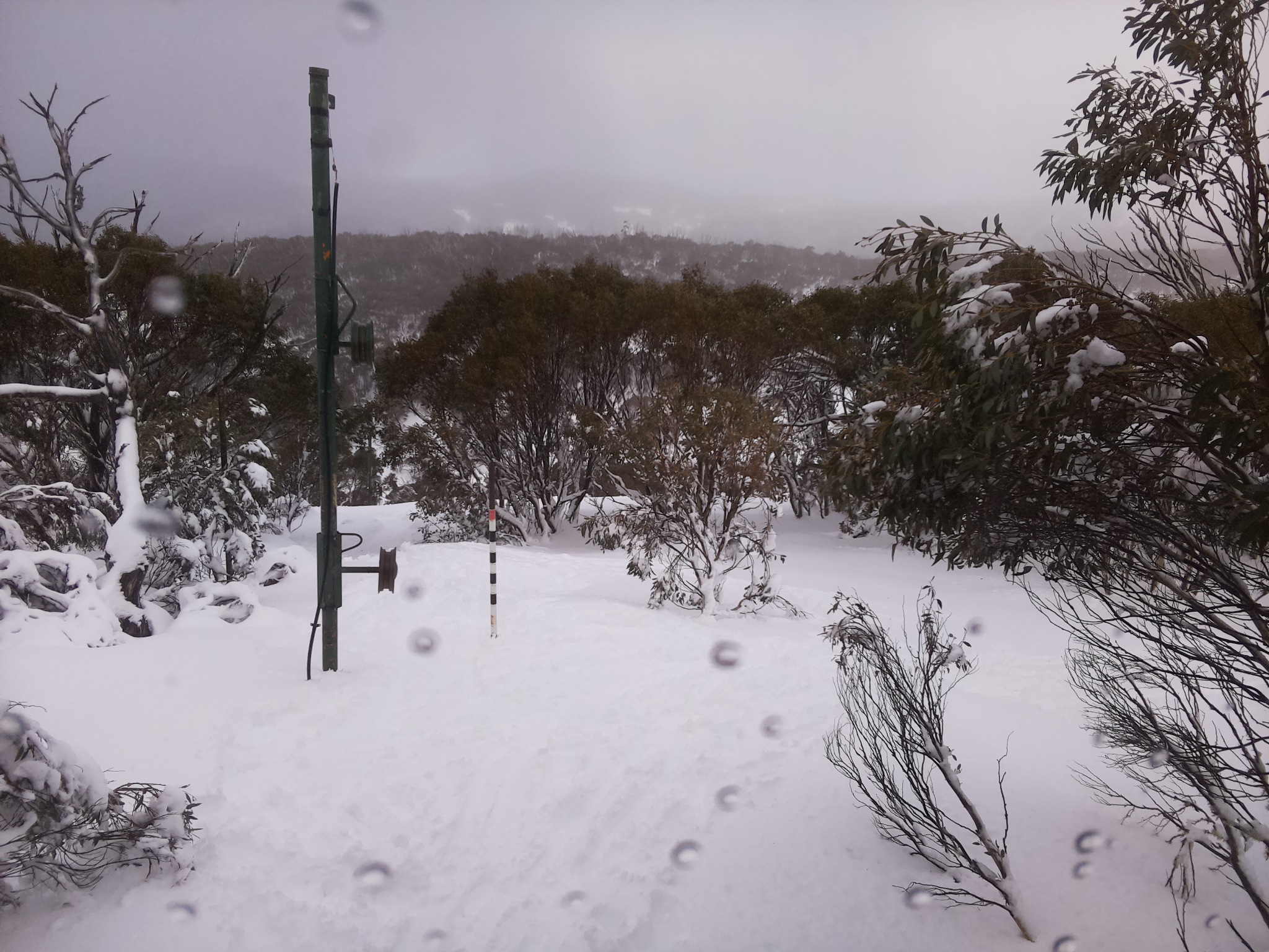 Bogong Web Cam 12:30pm Friday 11th of July 2025
