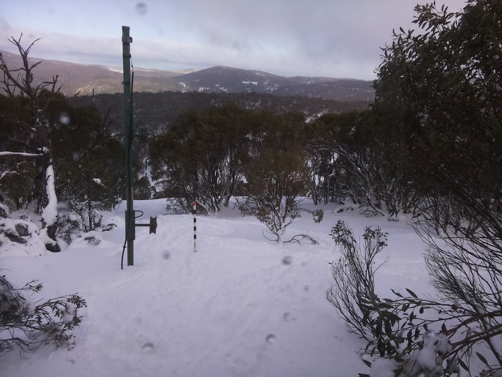 Bogong Web Cam 2:30pm Friday 11th of July 2025