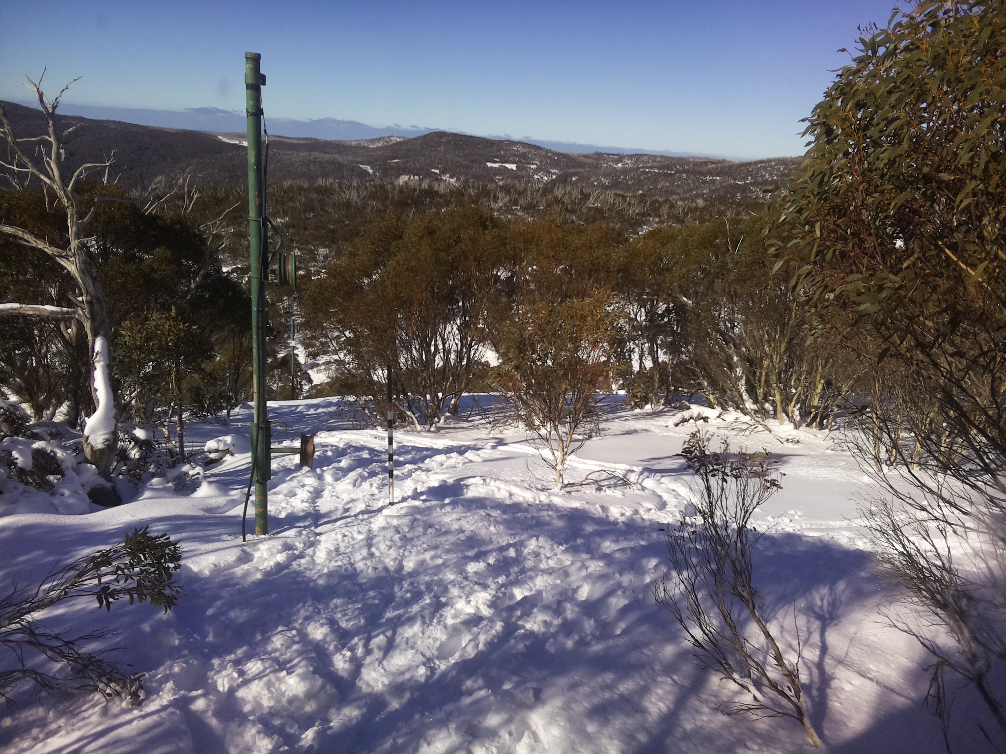 Bogong Web Cam 10:50am Saturday 12th of July 2025
