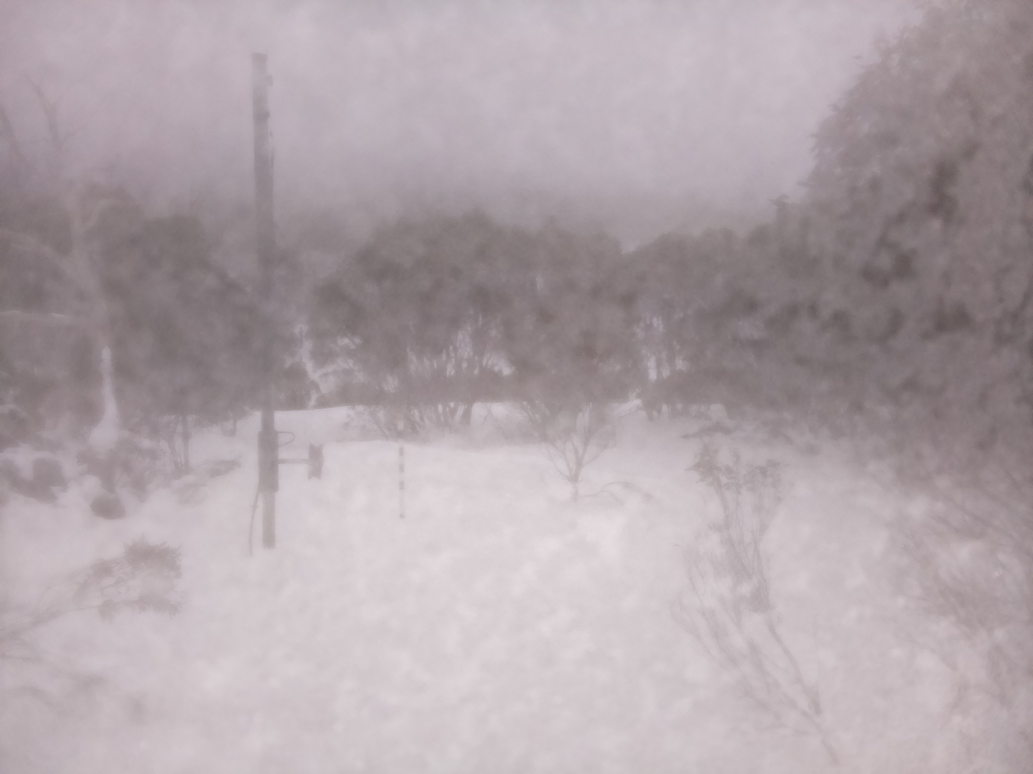 Bogong Web Cam 9:30am Sunday 13th of July 2025