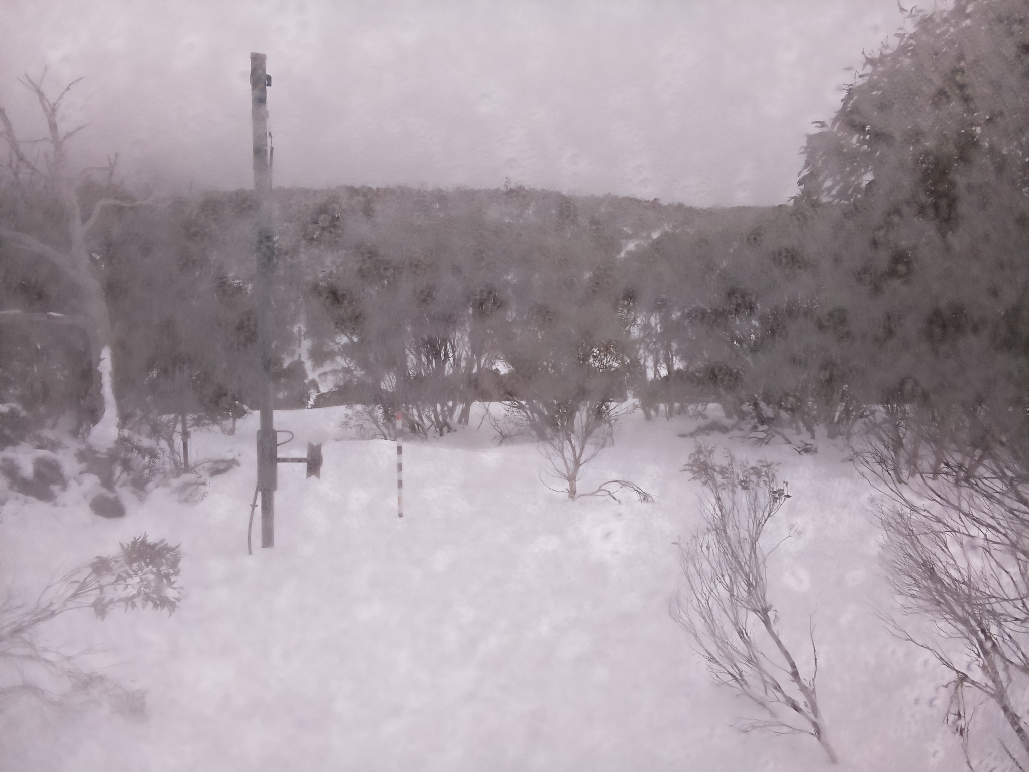 Bogong Web Cam 9:40am Sunday 13th of July 2025