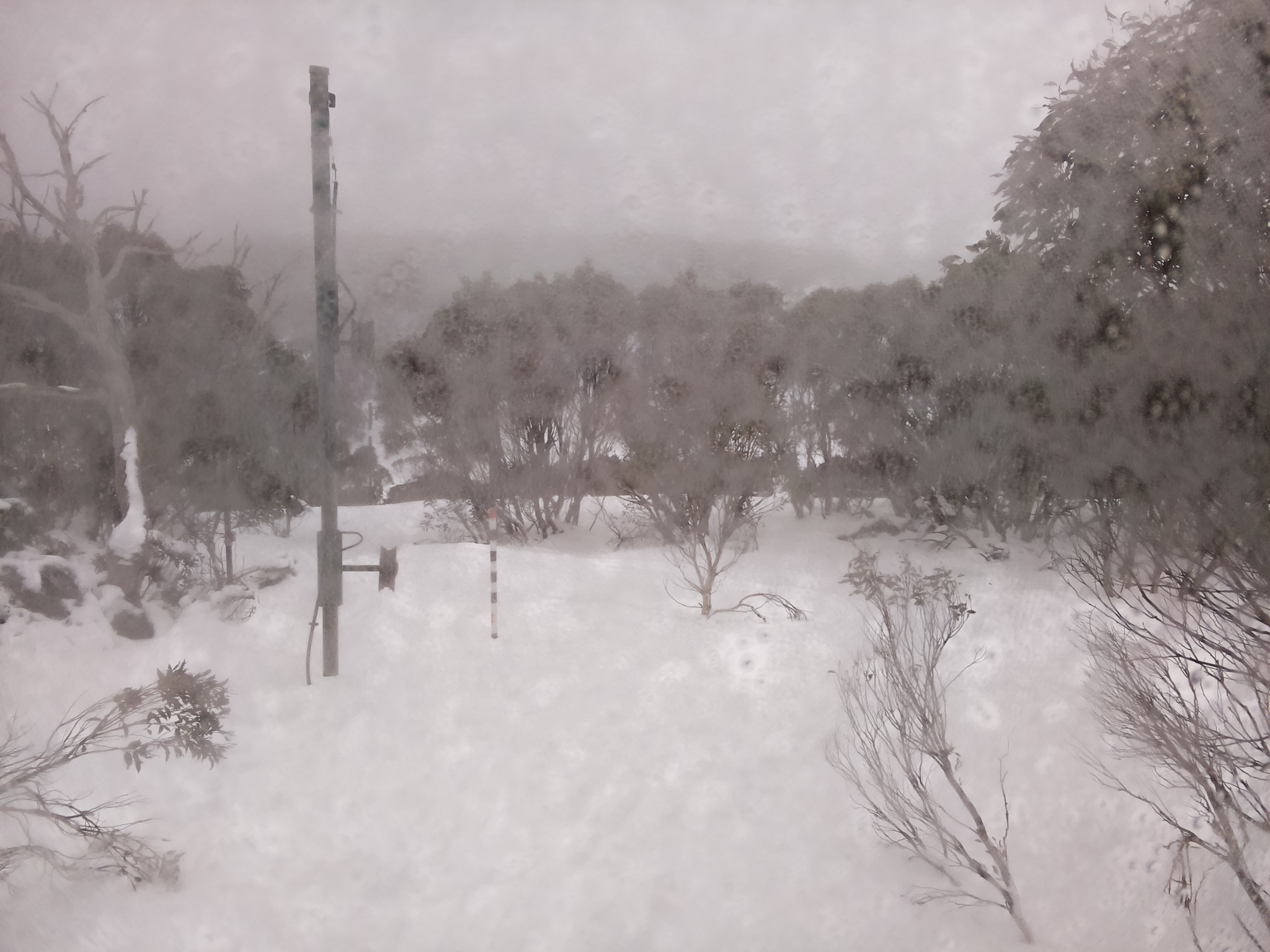 Bogong Web Cam 9:50am Sunday 13th of July 2025