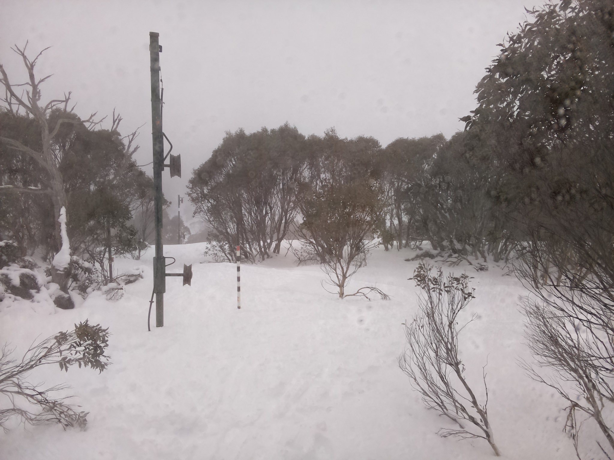 Bogong Web Cam 10:40am Sunday 13th of July 2025