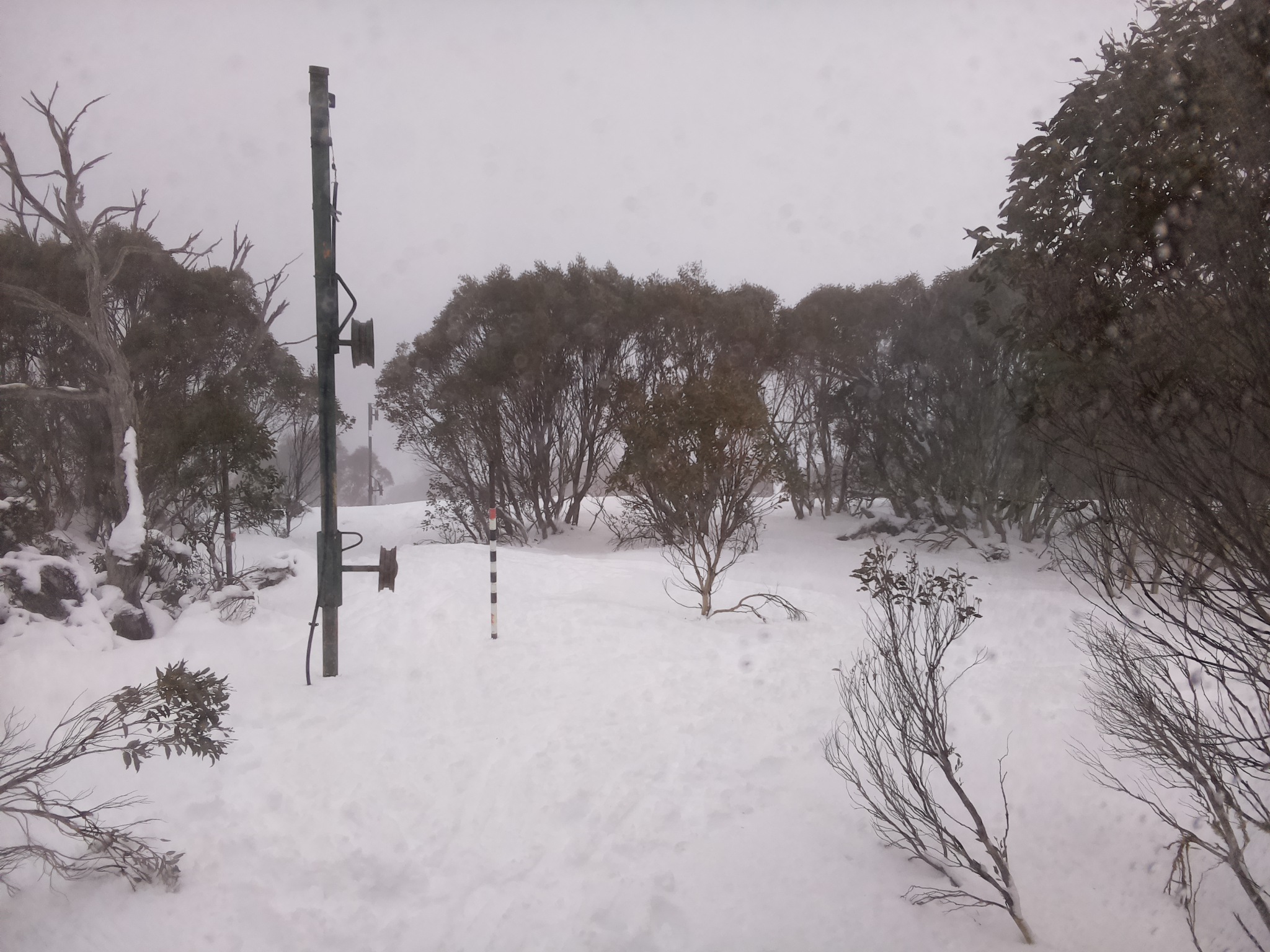 Bogong Web Cam 10:50am Sunday 13th of July 2025