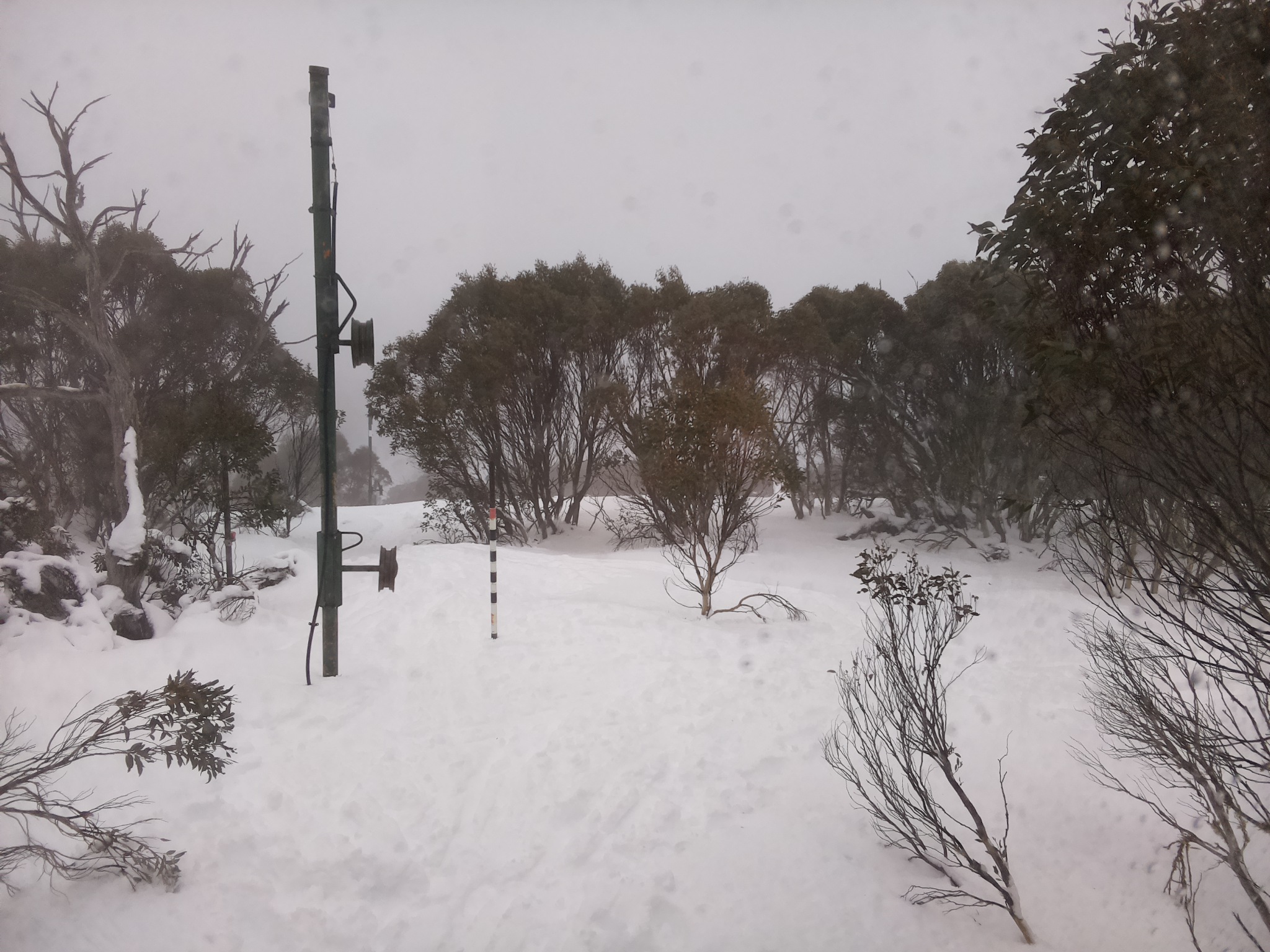 Bogong Web Cam 11:00am Sunday 13th of July 2025