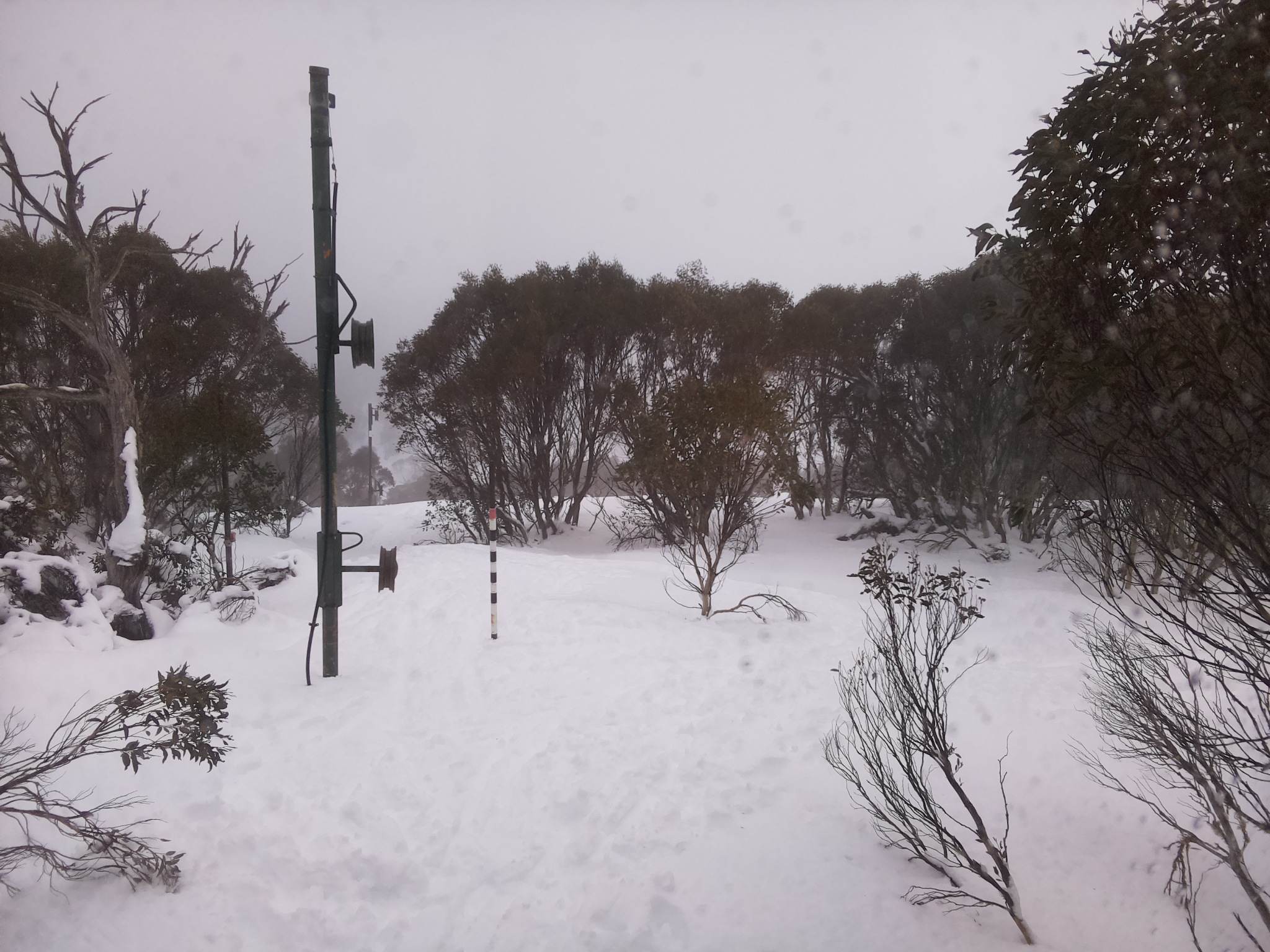Bogong Web Cam 11:10am Sunday 13th of July 2025