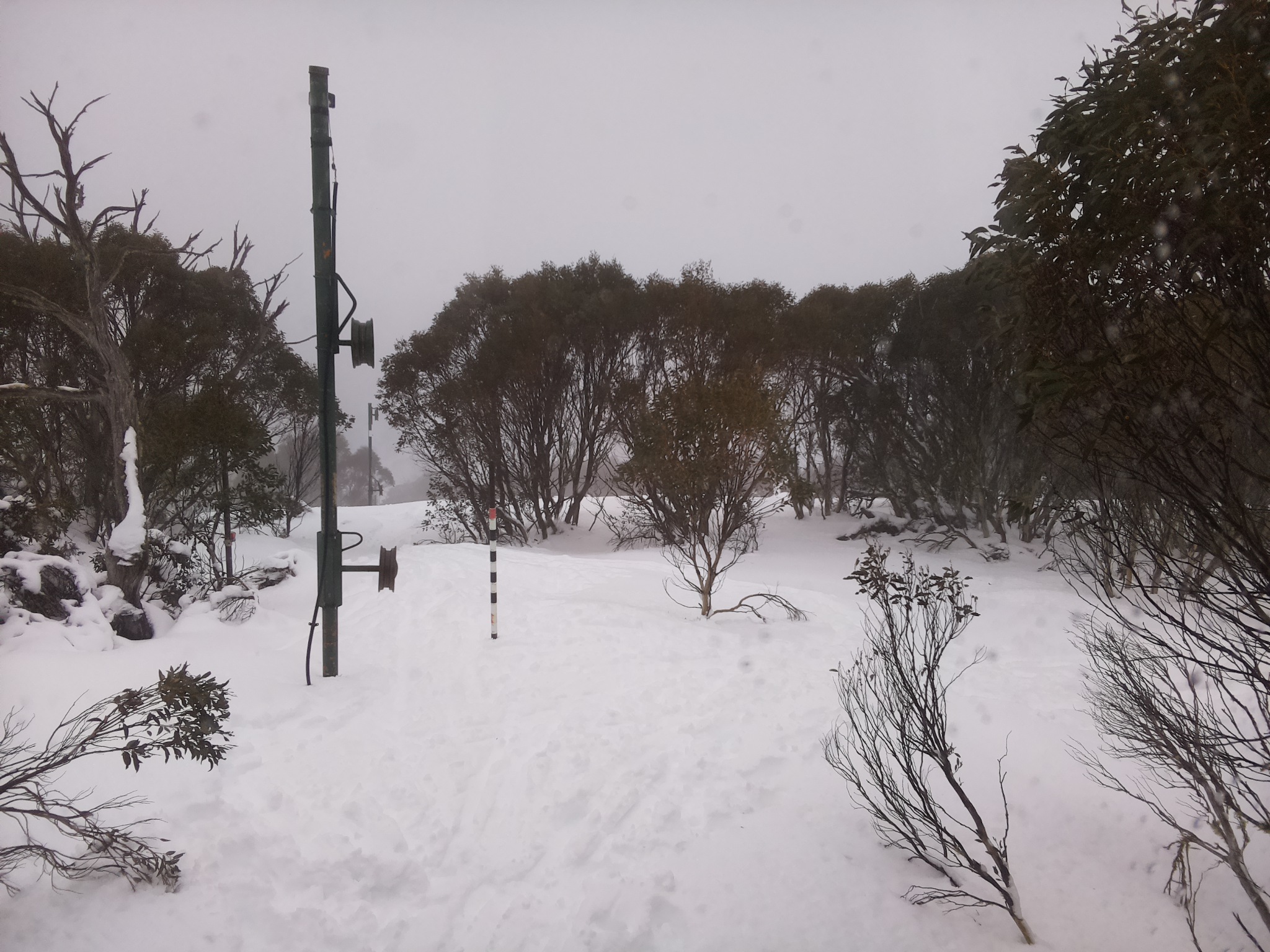Bogong Web Cam 11:20am Sunday 13th of July 2025