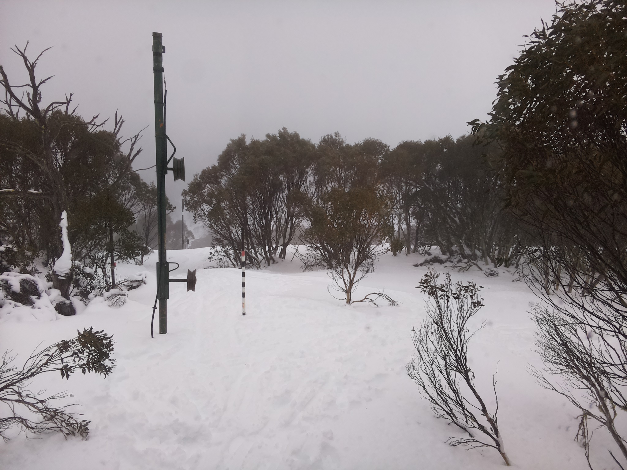 Bogong Web Cam 11:40am Sunday 13th of July 2025