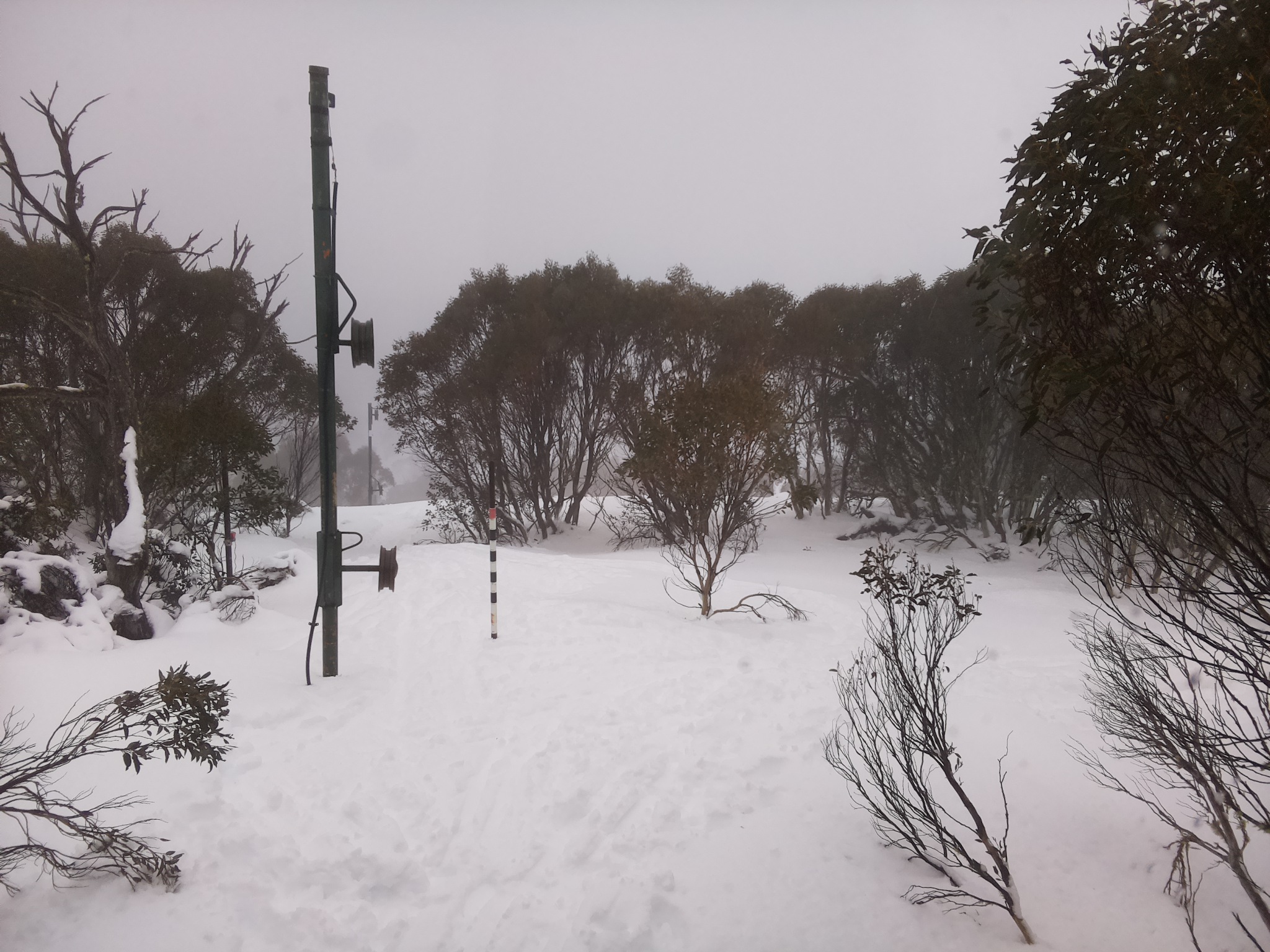 Bogong Web Cam 11:50am Sunday 13th of July 2025