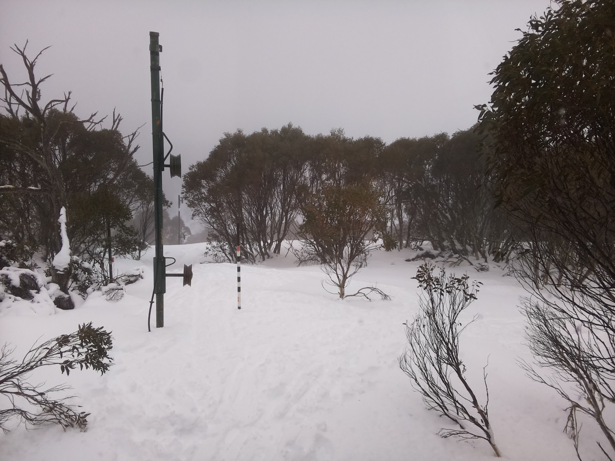 Bogong Web Cam 12:00pm Sunday 13th of July 2025