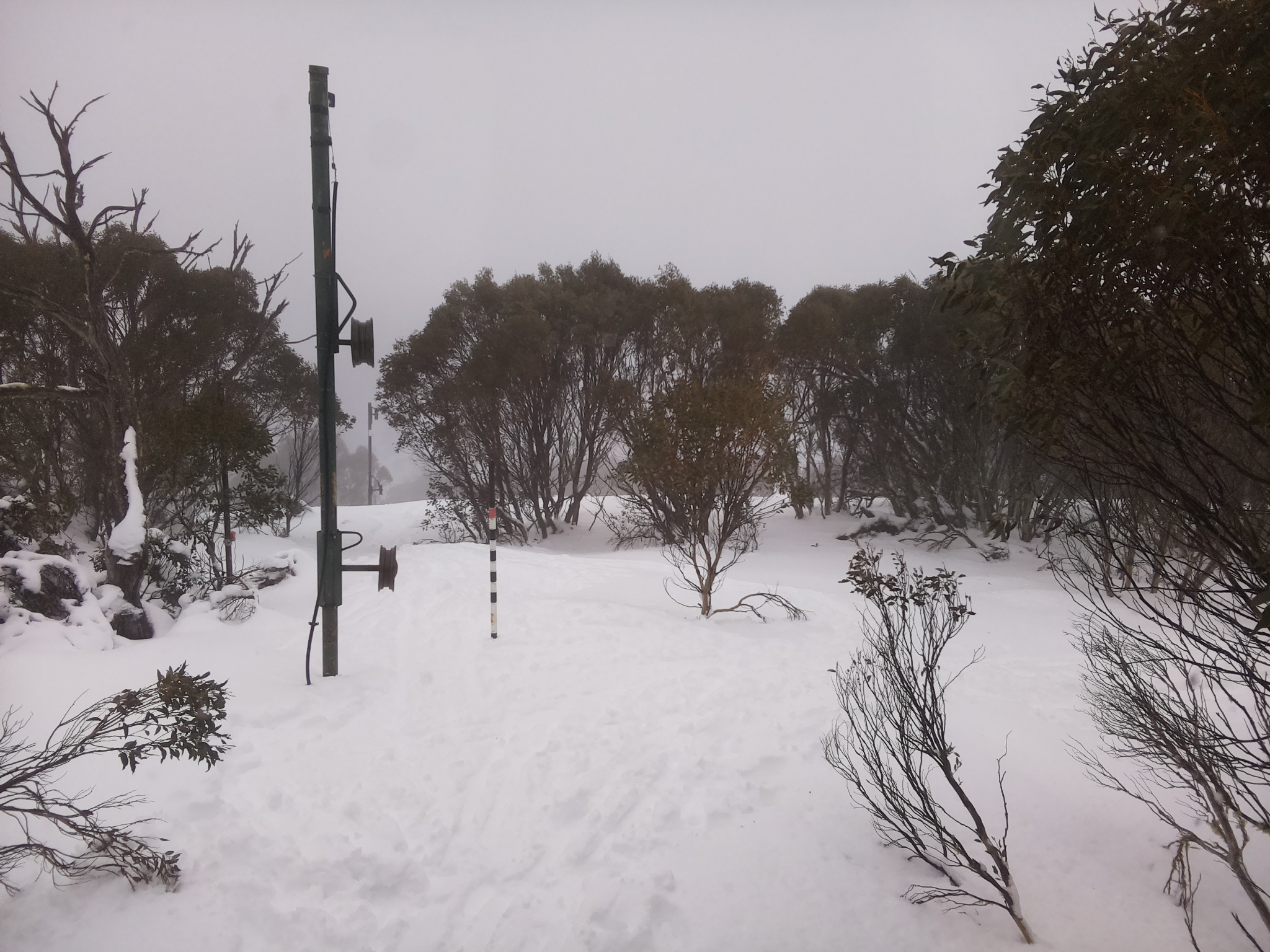 Bogong Web Cam 12:30pm Sunday 13th of July 2025