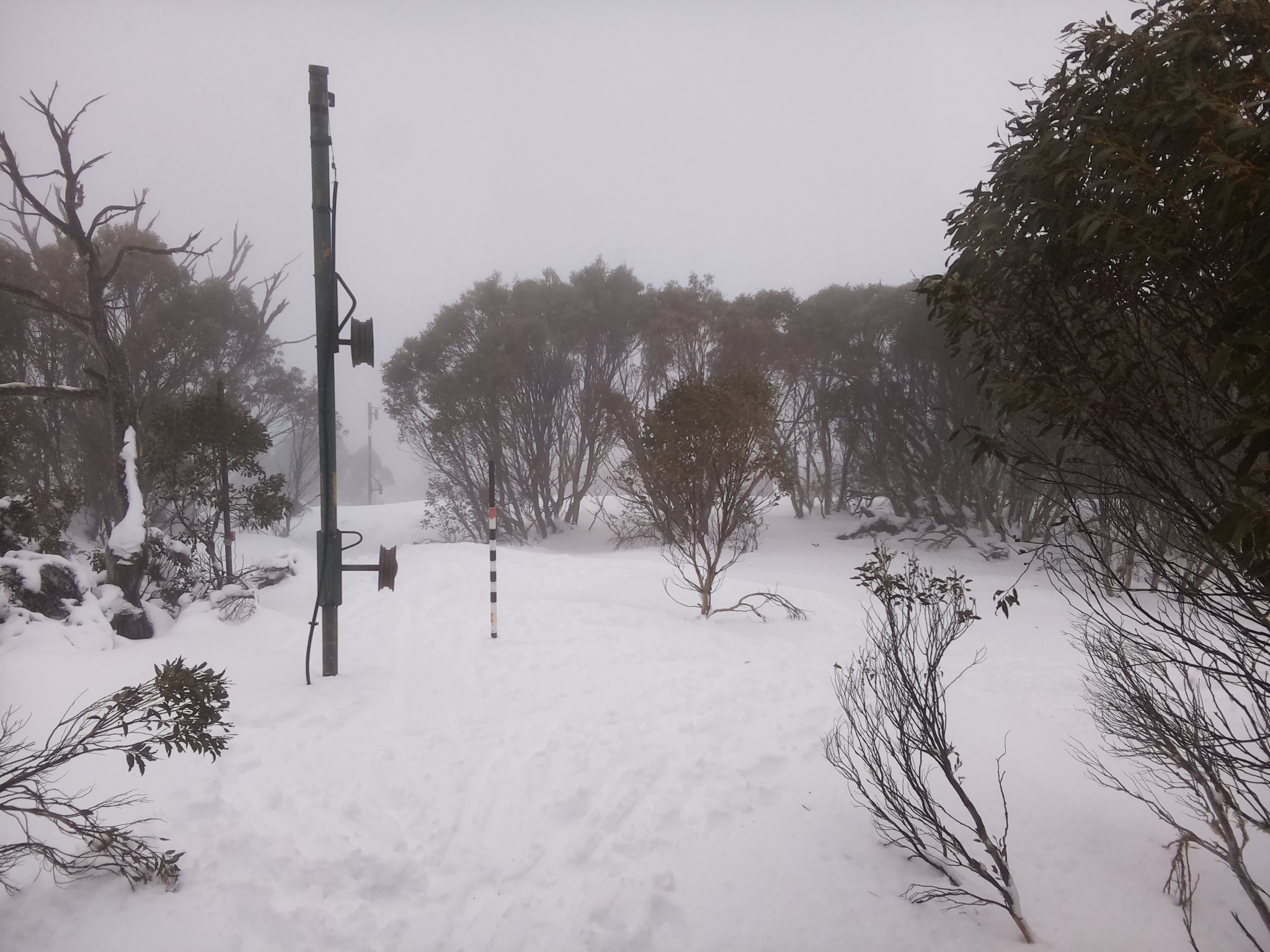 Bogong Web Cam 1:40pm Sunday 13th of July 2025
