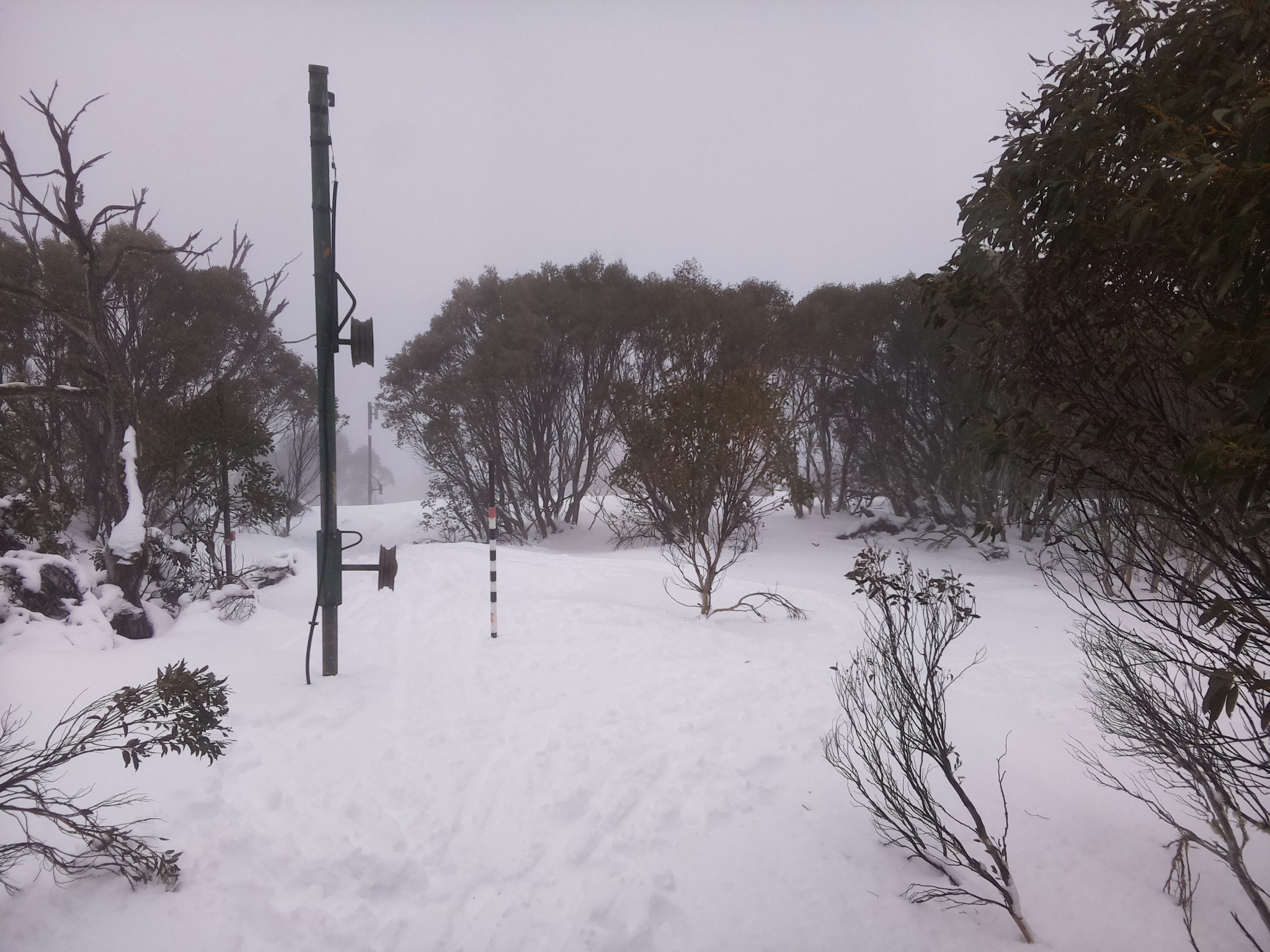 Bogong Web Cam 1:50pm Sunday 13th of July 2025