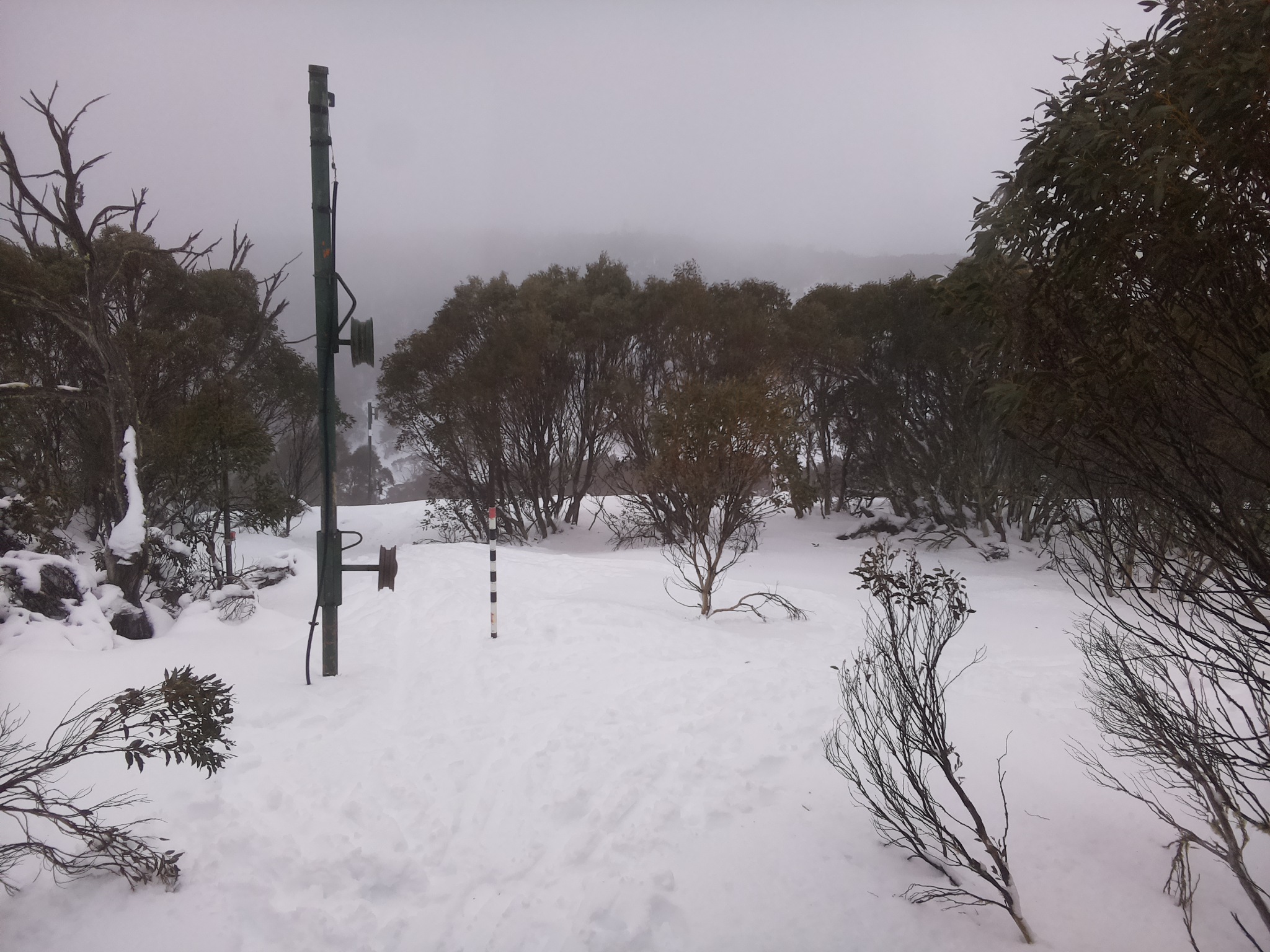 Bogong Web Cam 2:20pm Sunday 13th of July 2025