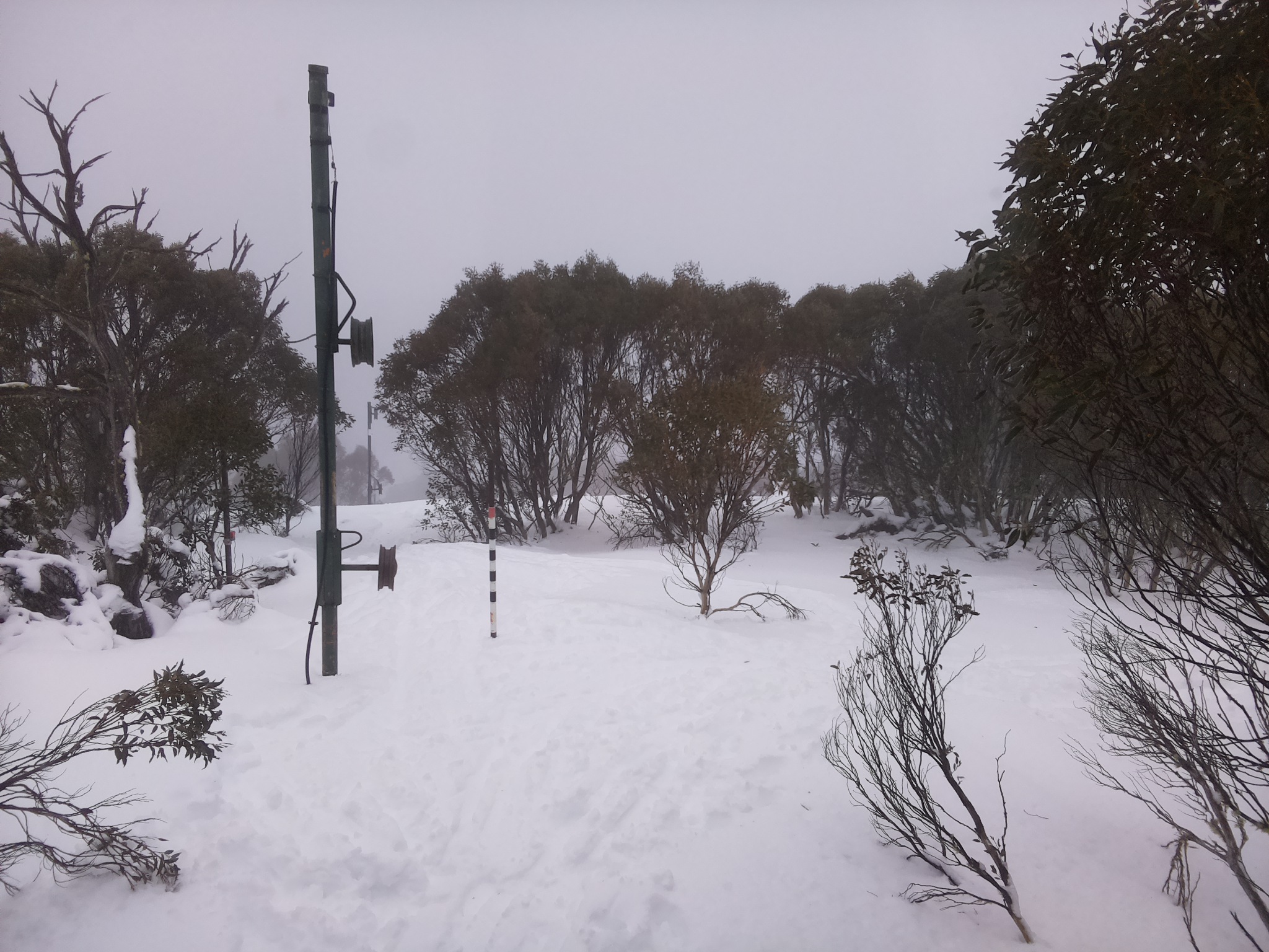 Bogong Web Cam 2:30pm Sunday 13th of July 2025