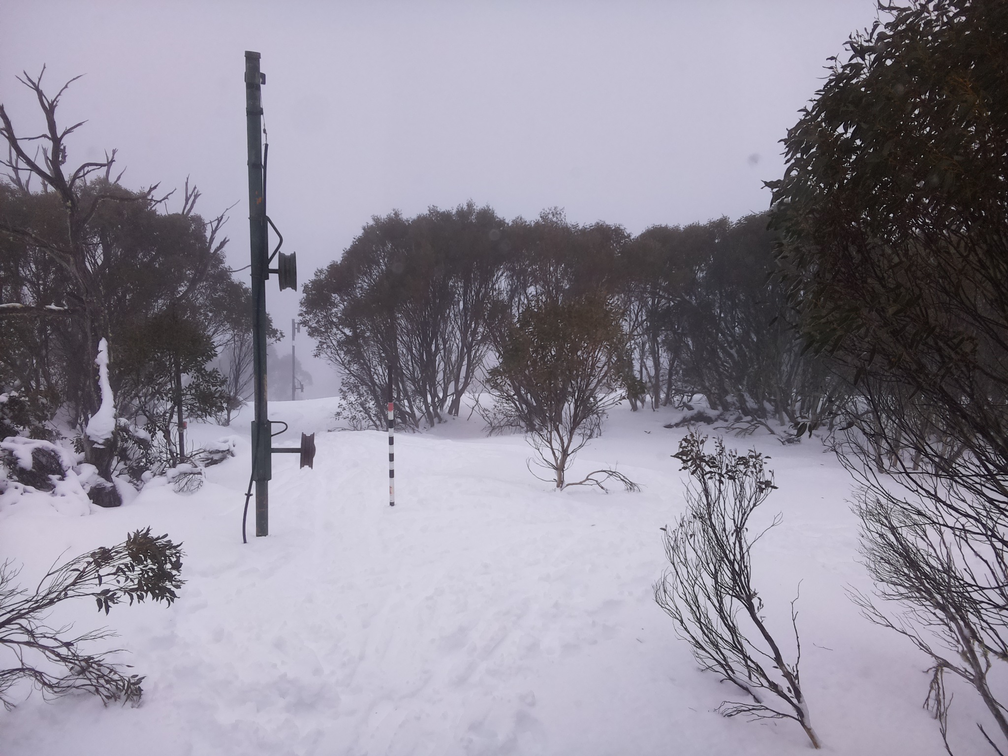Bogong Web Cam 3:00pm Sunday 13th of July 2025