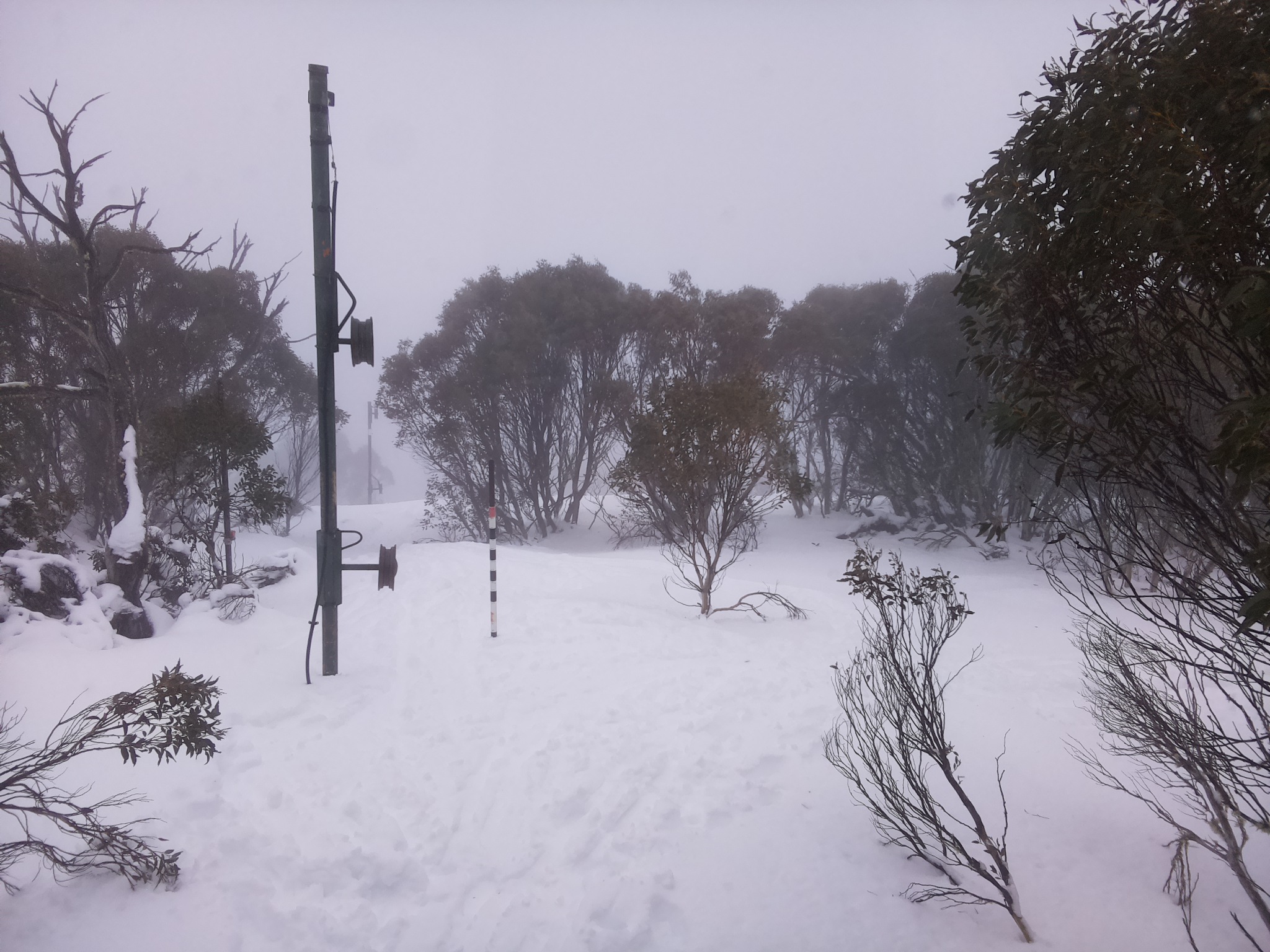 Bogong Web Cam 3:10pm Sunday 13th of July 2025