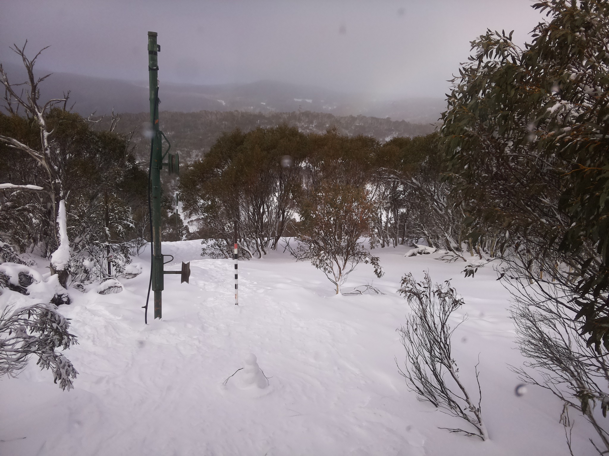 Bogong Web Cam 11:10am Wednesday 16th of July 2025