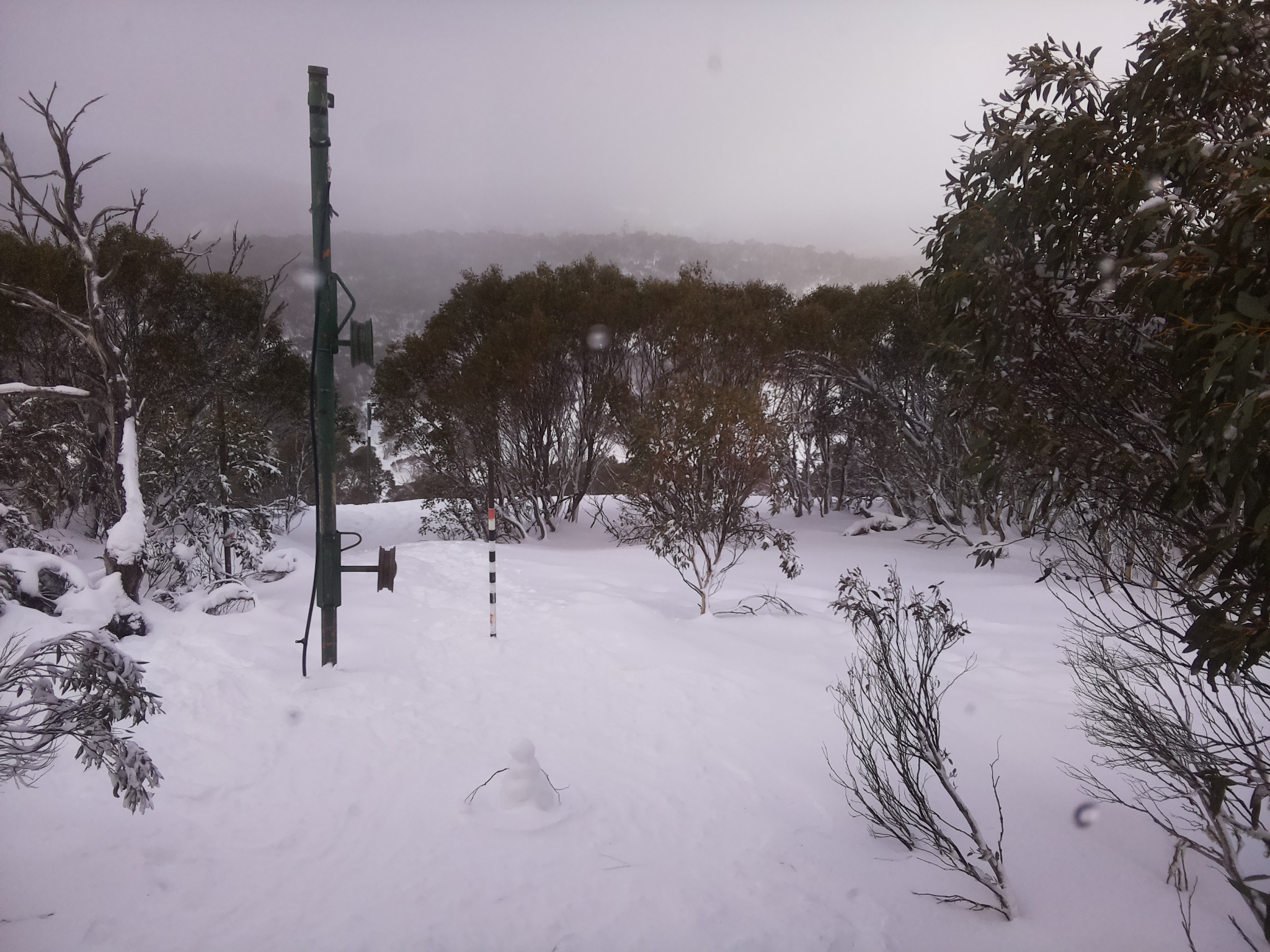 Bogong Web Cam 11:30am Wednesday 16th of July 2025