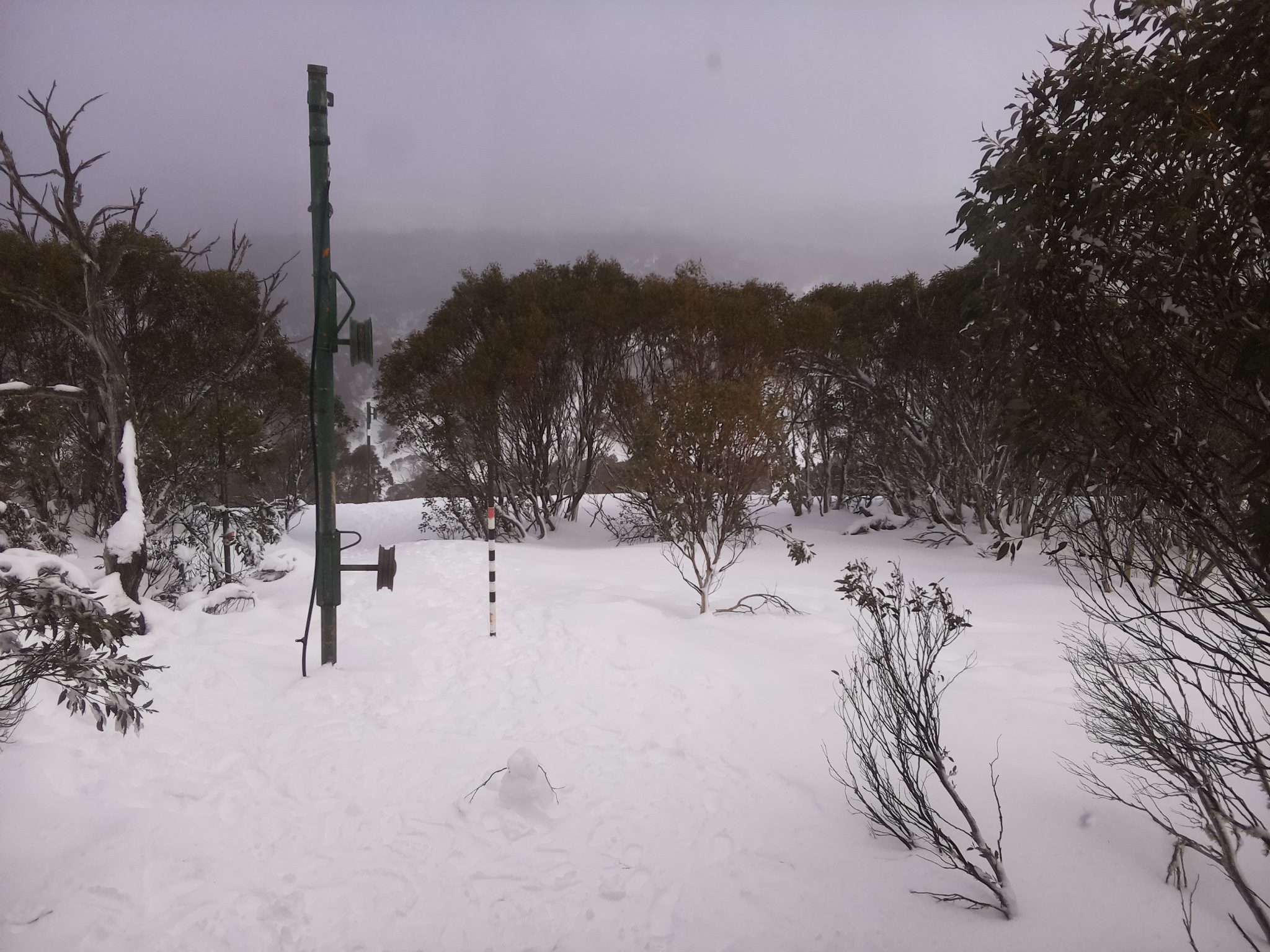 Bogong Web Cam 3:00pm Wednesday 16th of July 2025