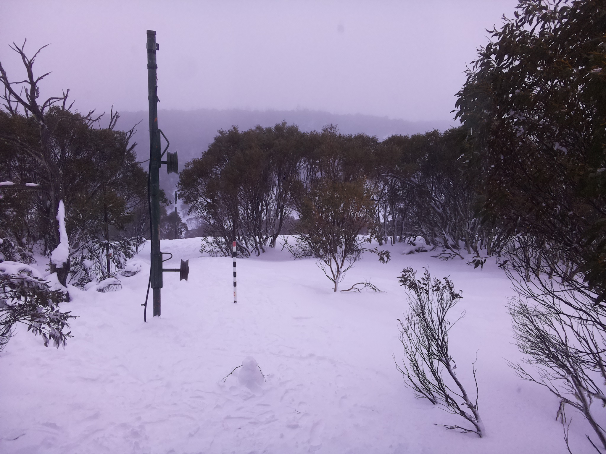 Bogong Web Cam 4:50pm Wednesday 16th of July 2025
