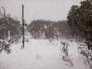 Thumbnail 10:10am Thursday 17th of July 2025