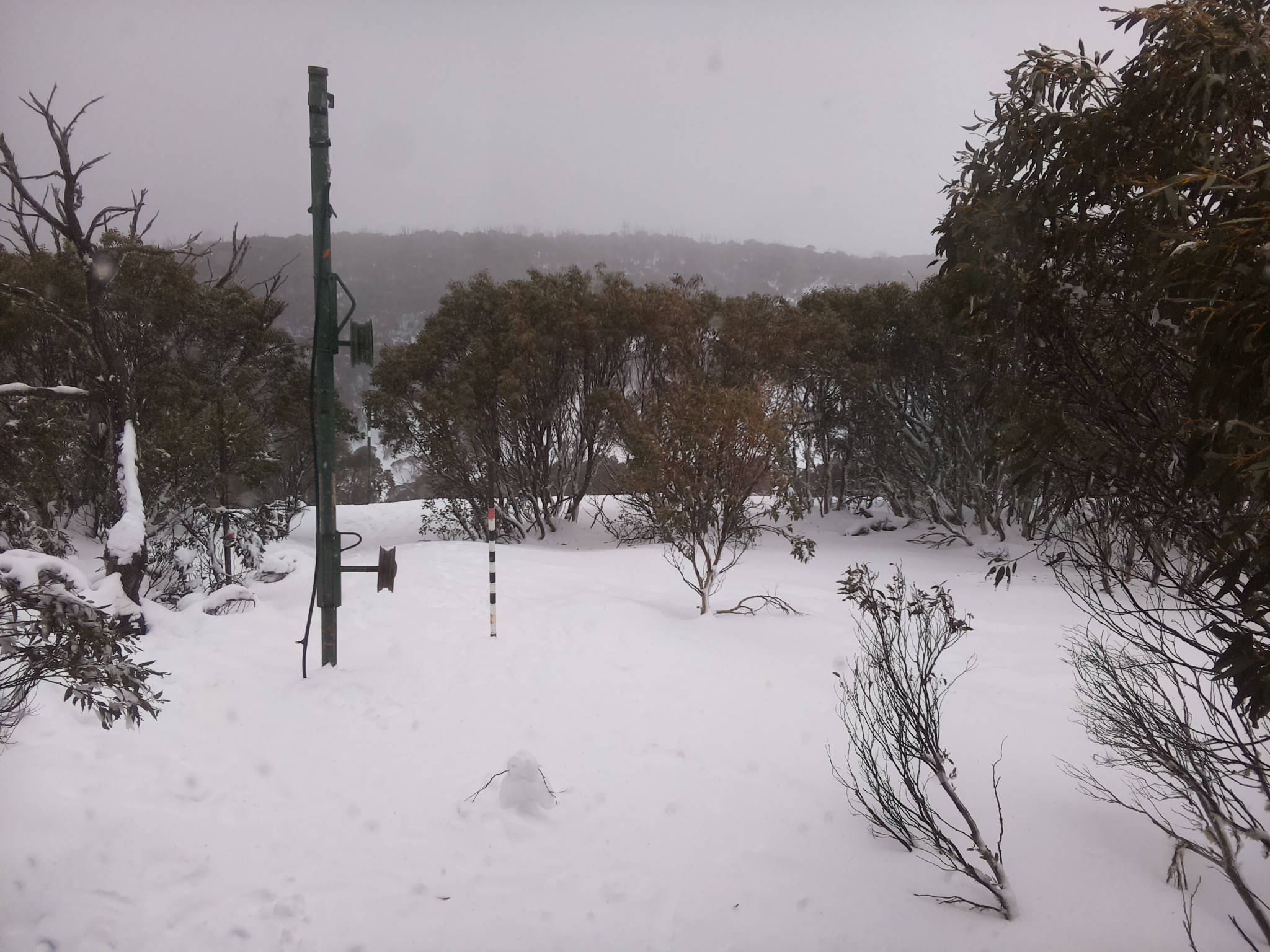 Bogong Web Cam 11:40am Thursday 17th of July 2025
