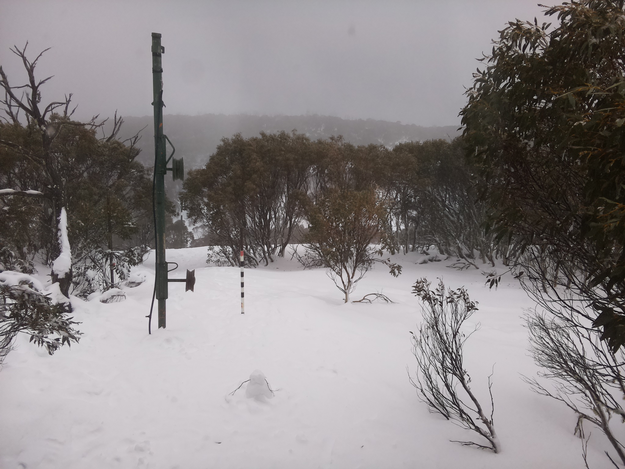 Bogong Web Cam 12:10pm Thursday 17th of July 2025