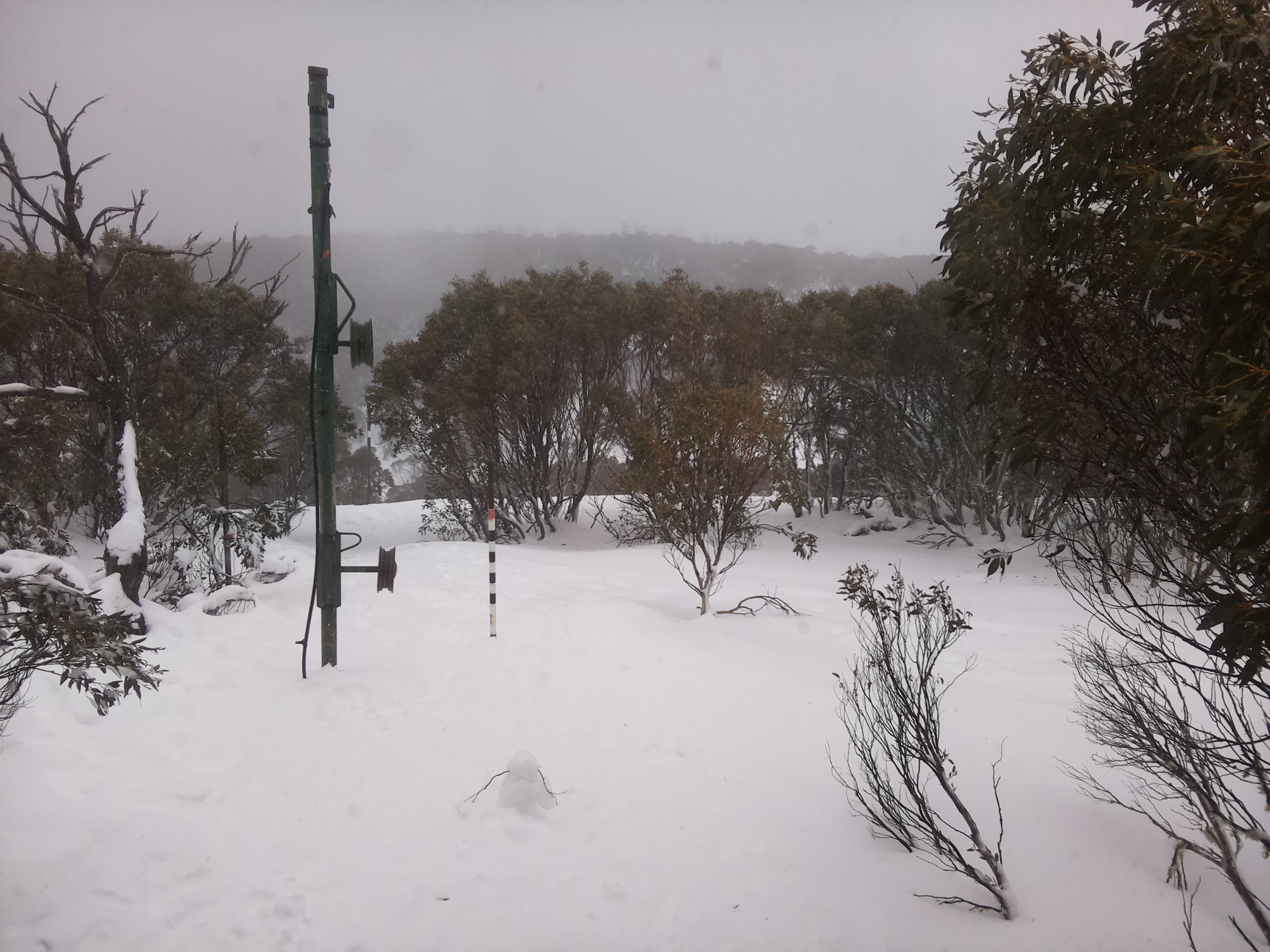 Bogong Web Cam 12:20pm Thursday 17th of July 2025