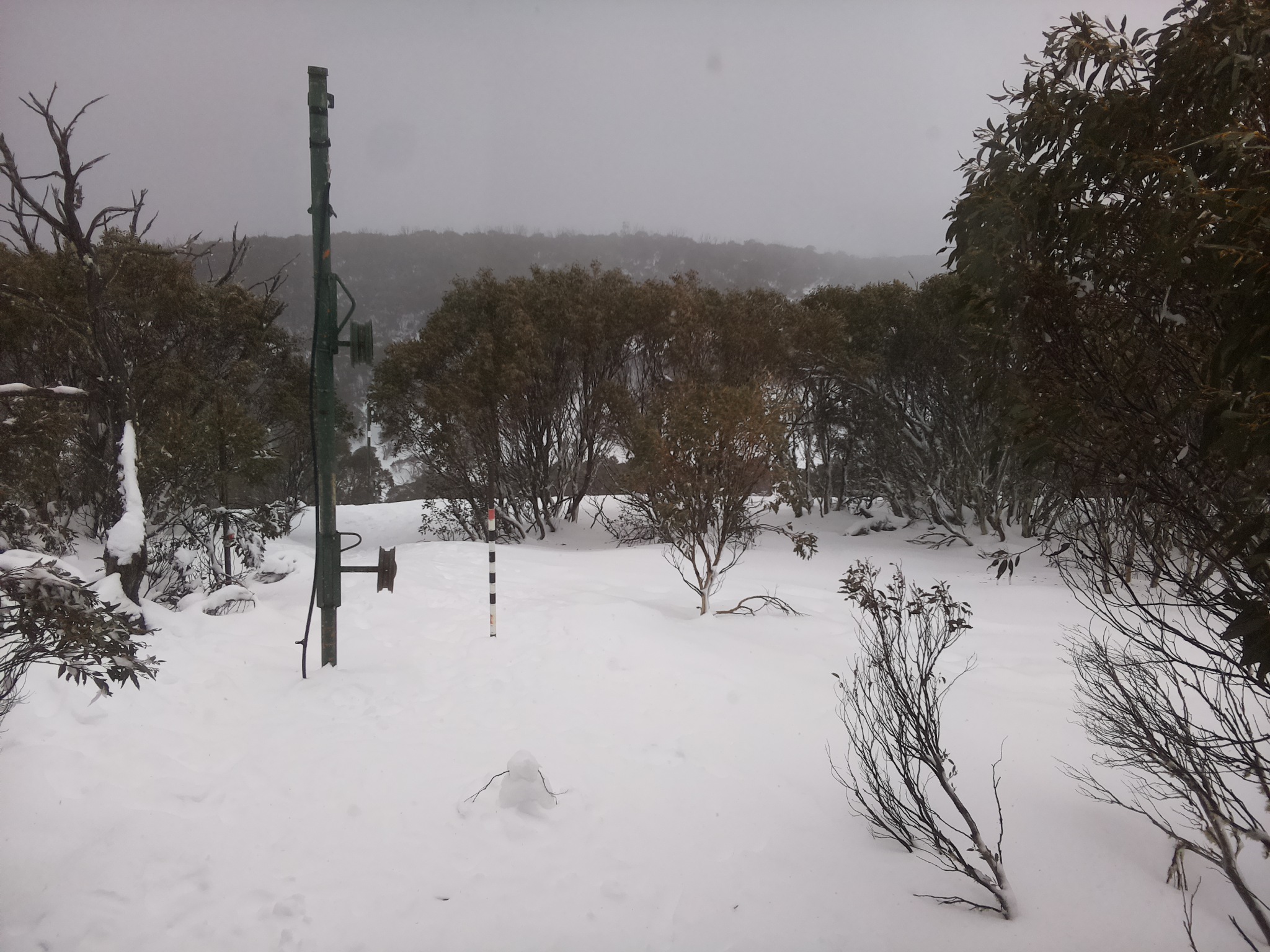 Bogong Web Cam 12:40pm Thursday 17th of July 2025