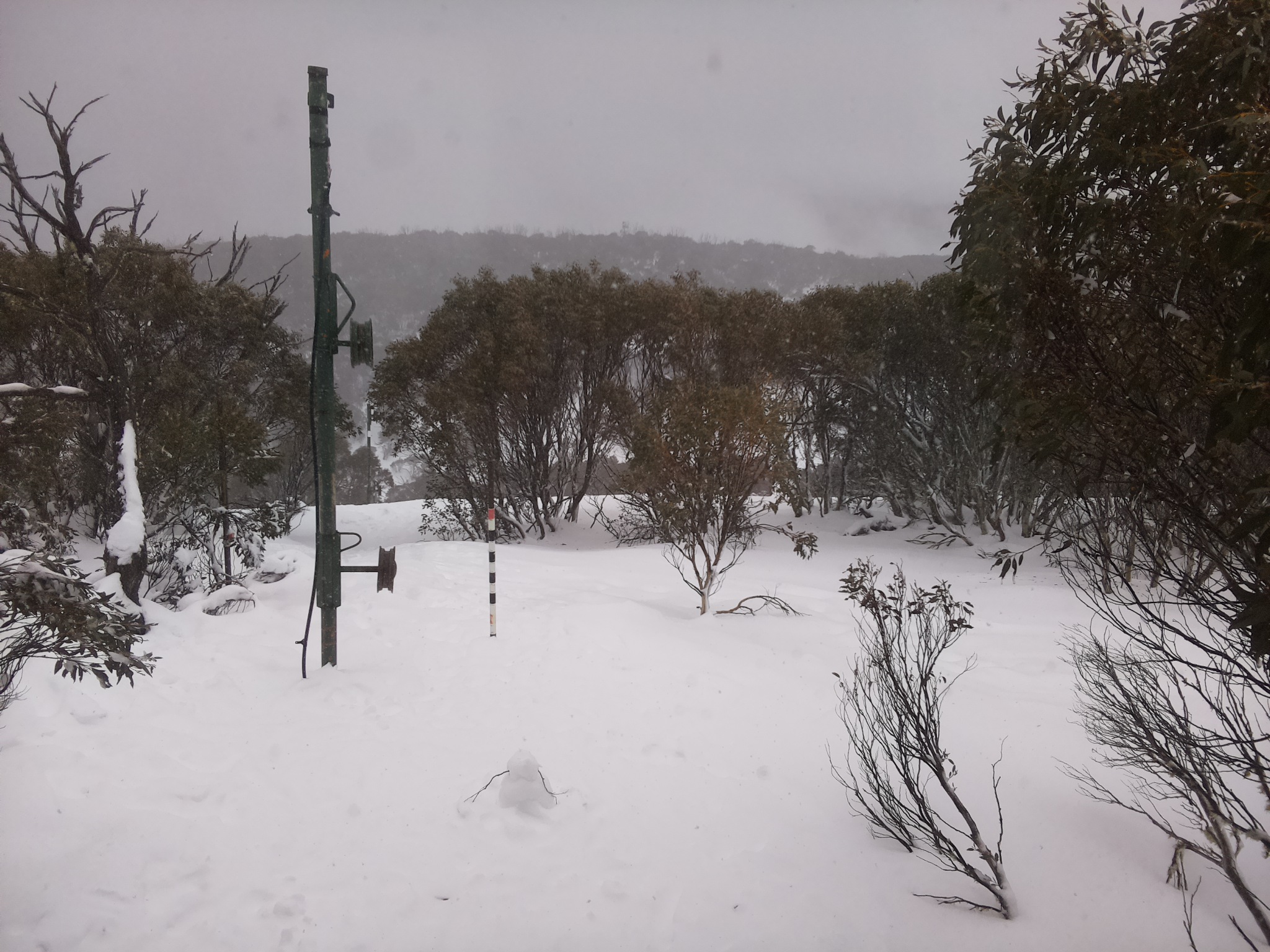 Bogong Web Cam 12:50pm Thursday 17th of July 2025