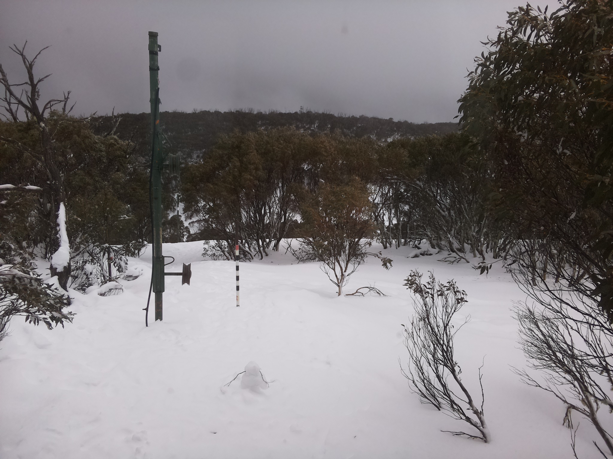 Bogong Web Cam 1:10pm Thursday 17th of July 2025