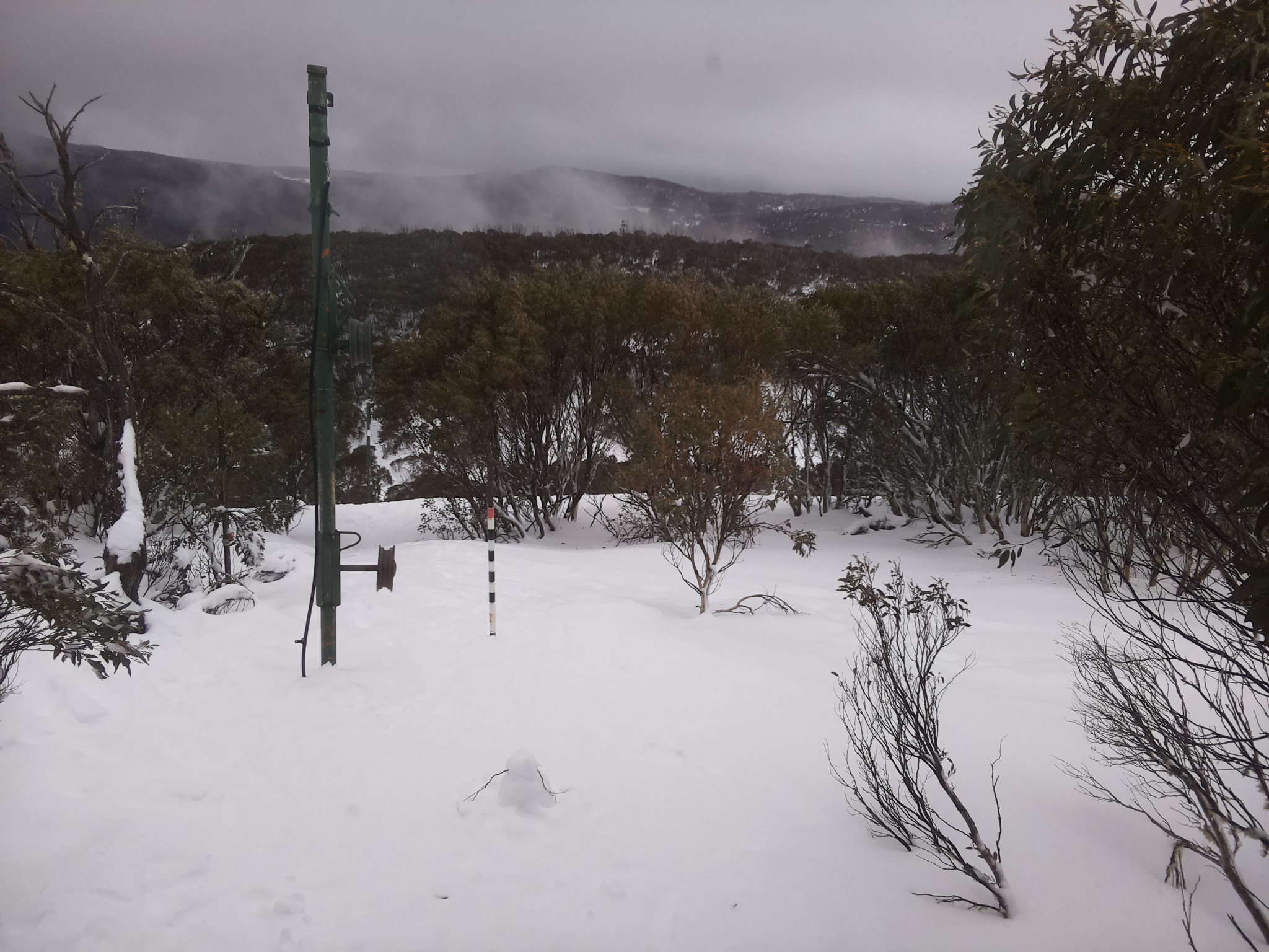 Bogong Web Cam 1:30pm Thursday 17th of July 2025