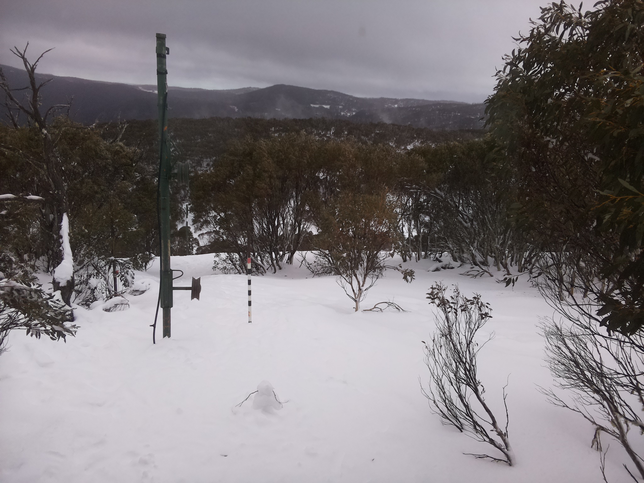 Bogong Web Cam 1:50pm Thursday 17th of July 2025