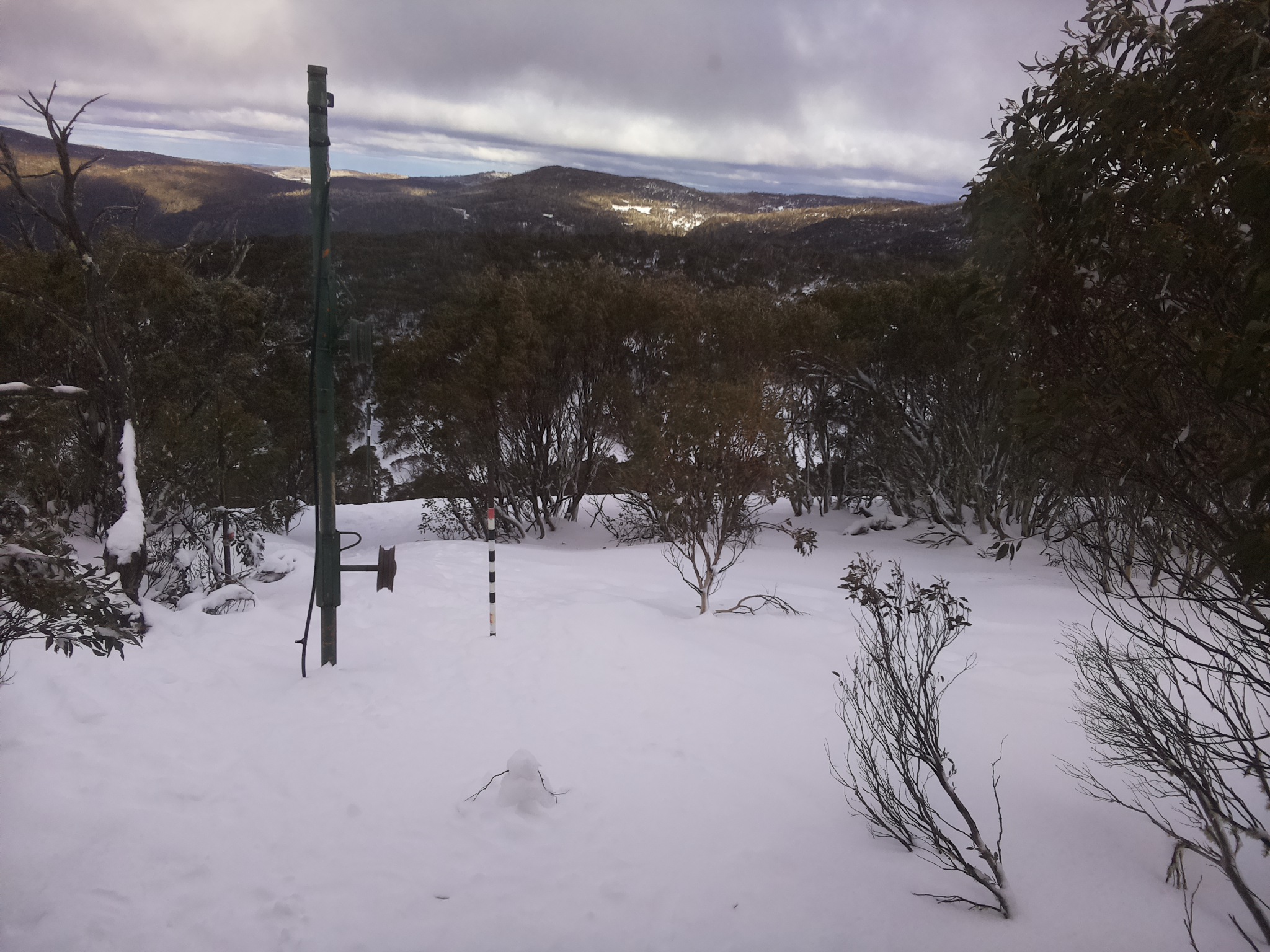 Bogong Web Cam 2:40pm Thursday 17th of July 2025