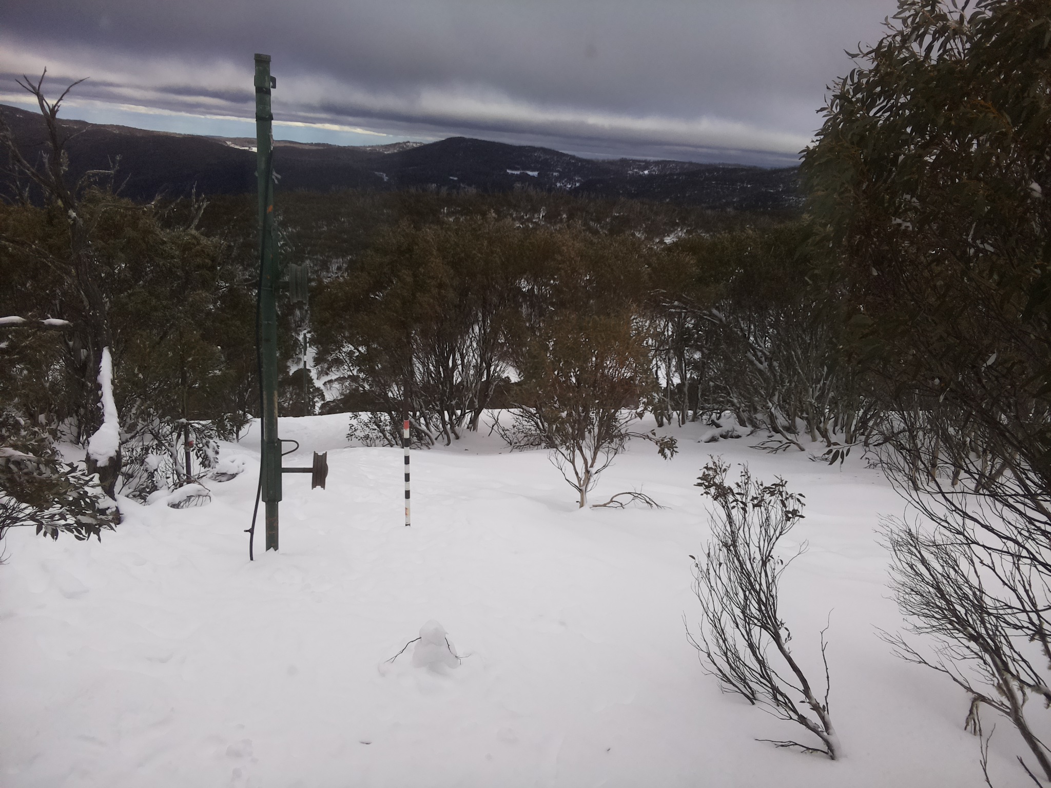 Bogong Web Cam 3:20pm Thursday 17th of July 2025