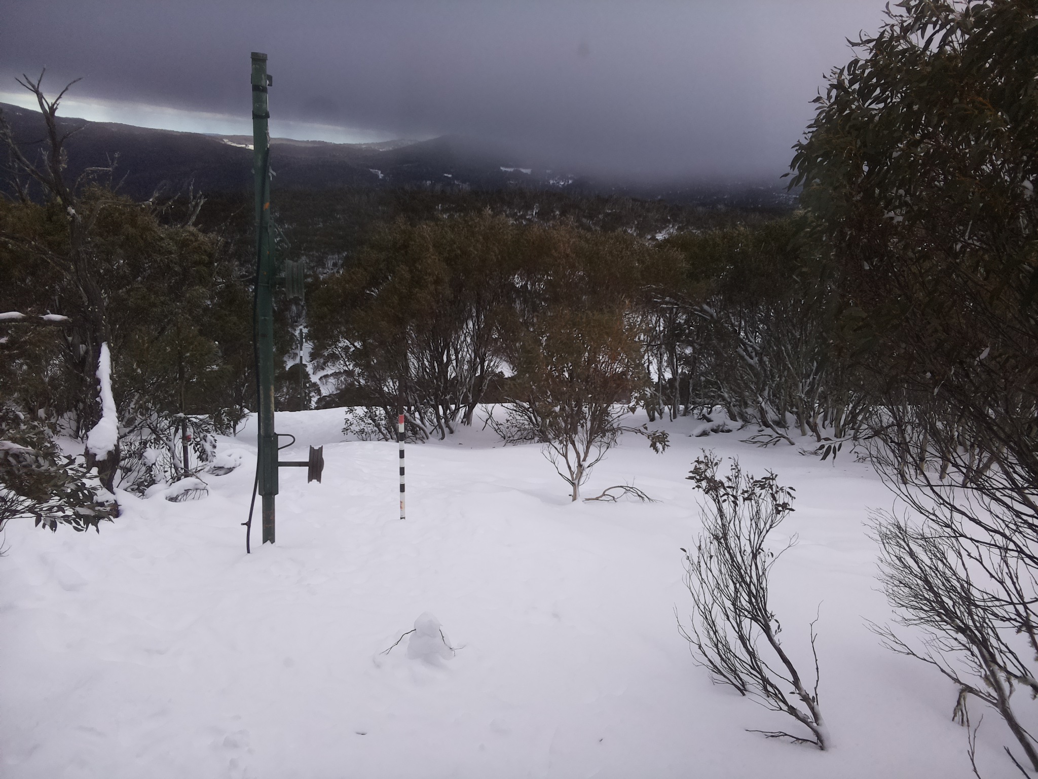 Bogong Web Cam 3:40pm Thursday 17th of July 2025